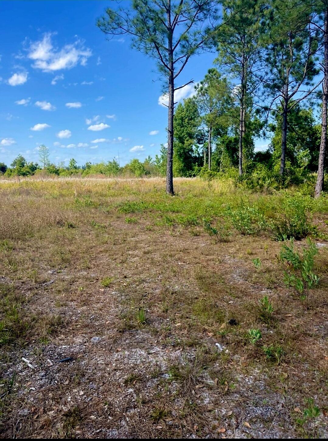 1108306 Oil Well Road, Clermont, FL 34714, Clermont - Photo 2