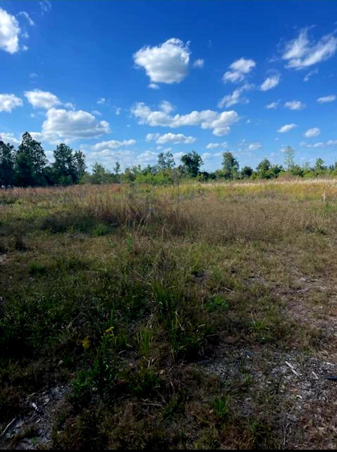 1108306 Oil Well Road, Clermont, FL 34714, Clermont