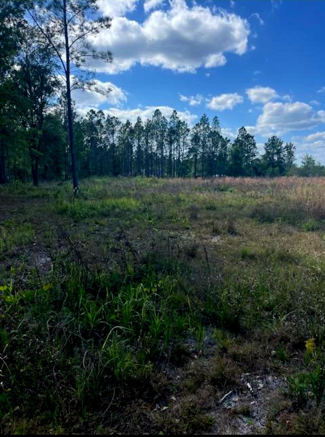 1108306 Oil Well Road, Clermont, FL 34714, Clermont - Photo 3