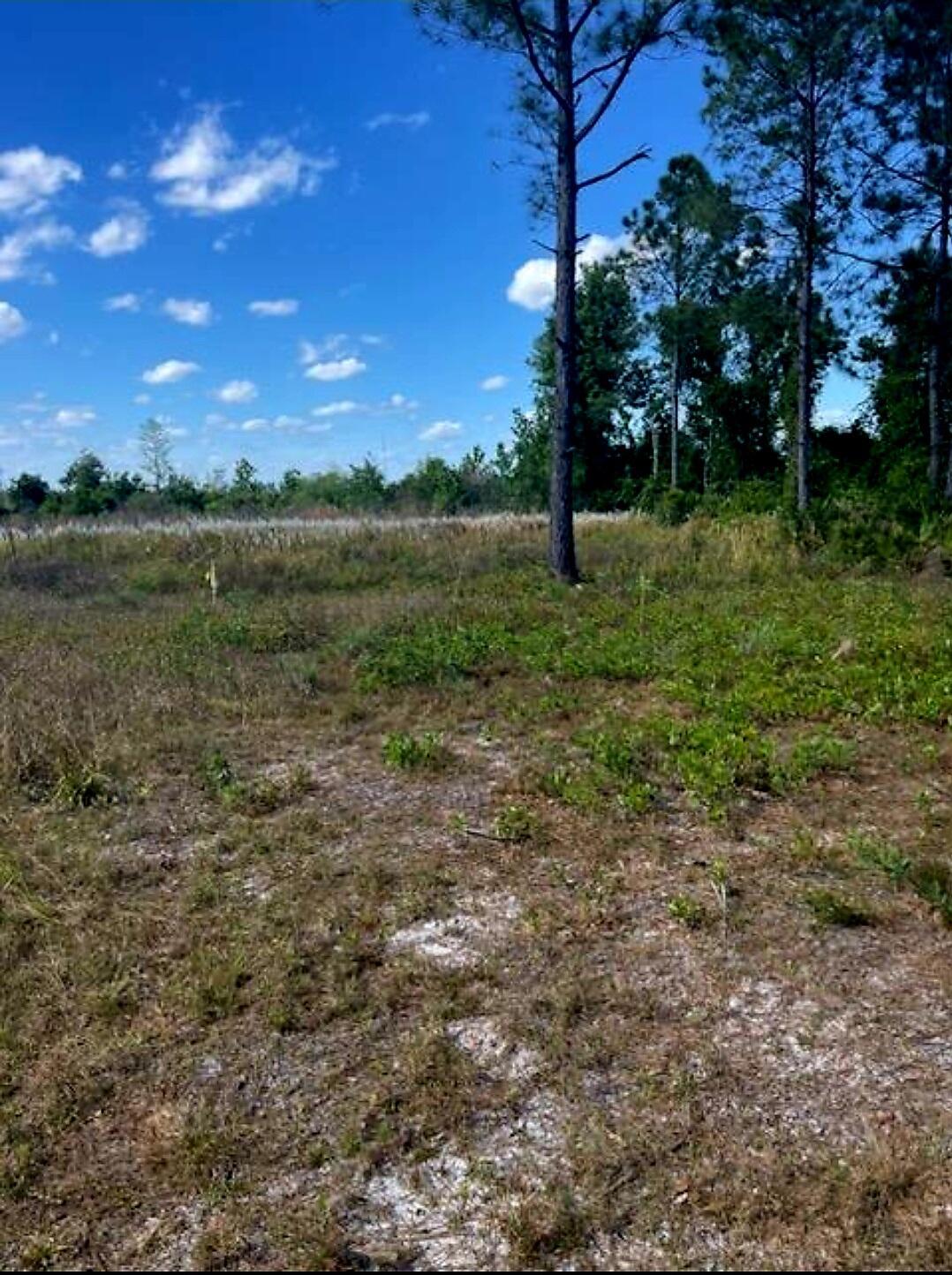 1108306 Oil Well Road, Clermont, FL 34714, Clermont - Photo 5