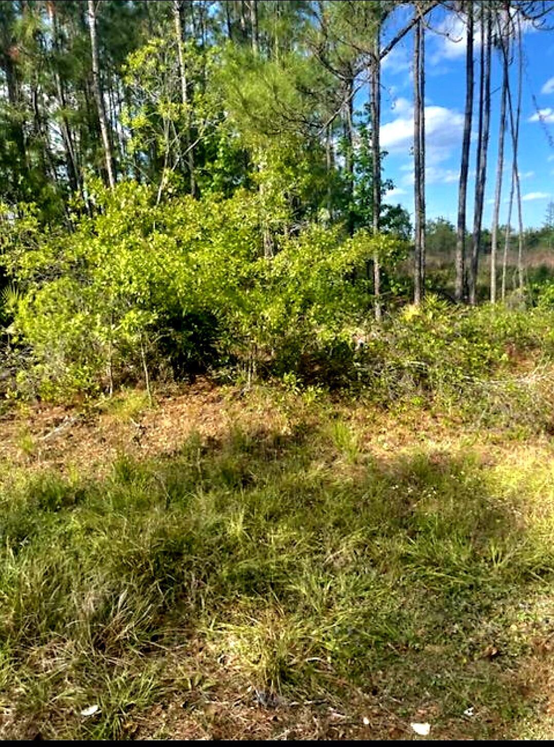 1108306 Oil Well Road, Clermont, FL 34714, Clermont - Photo 4