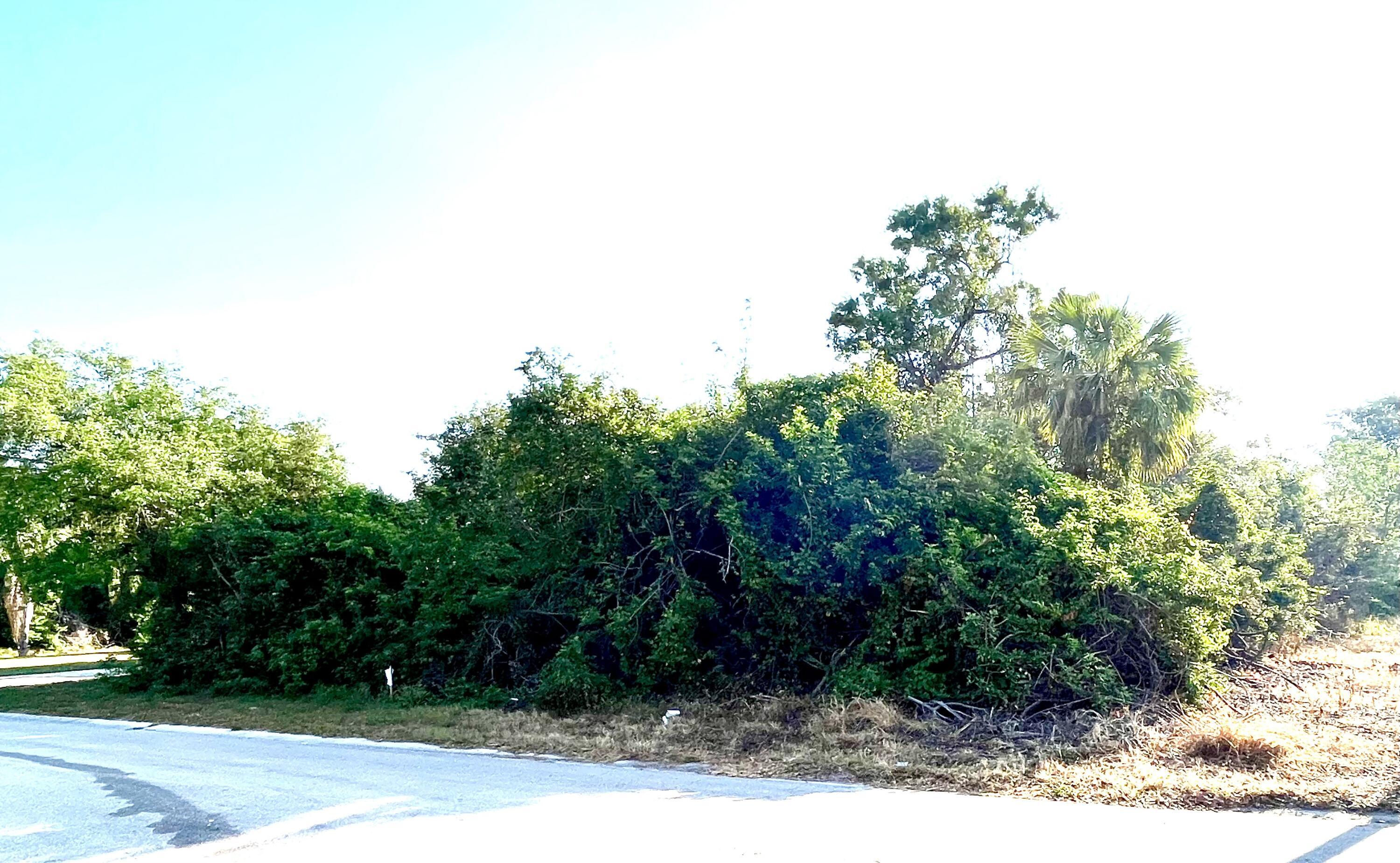 2336 13th Avenue SW, Vero Beach, FL 32962, Vero Beach - Photo 4