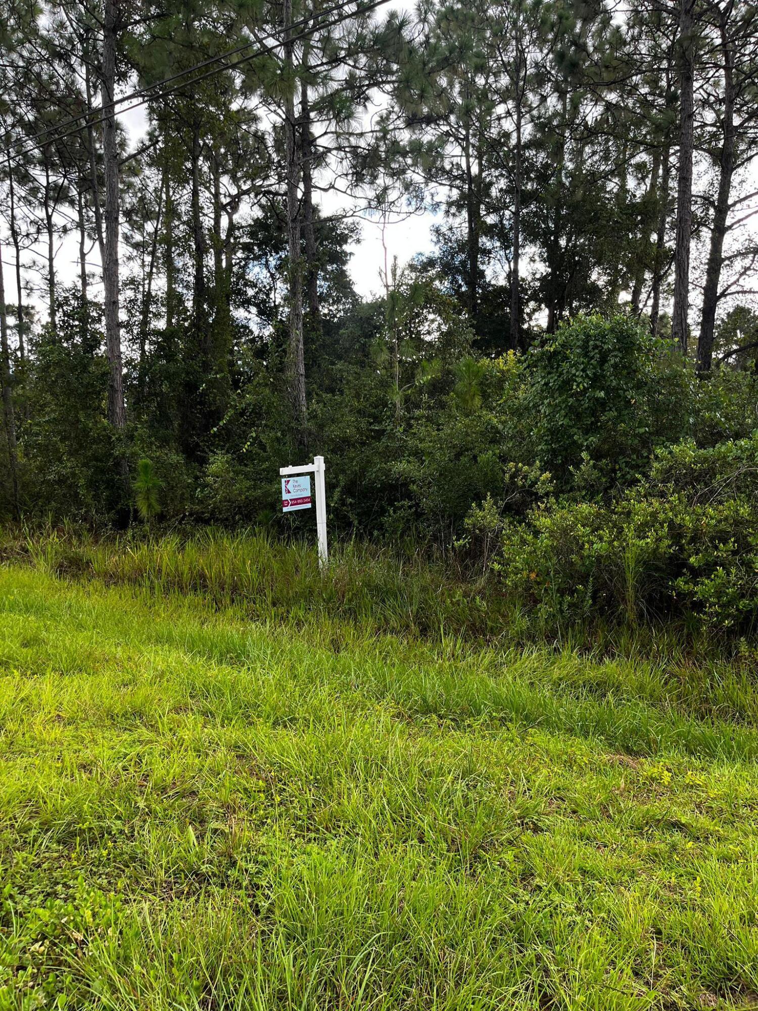 0 Sabal Street, Orlando, FL 32833, Orlando