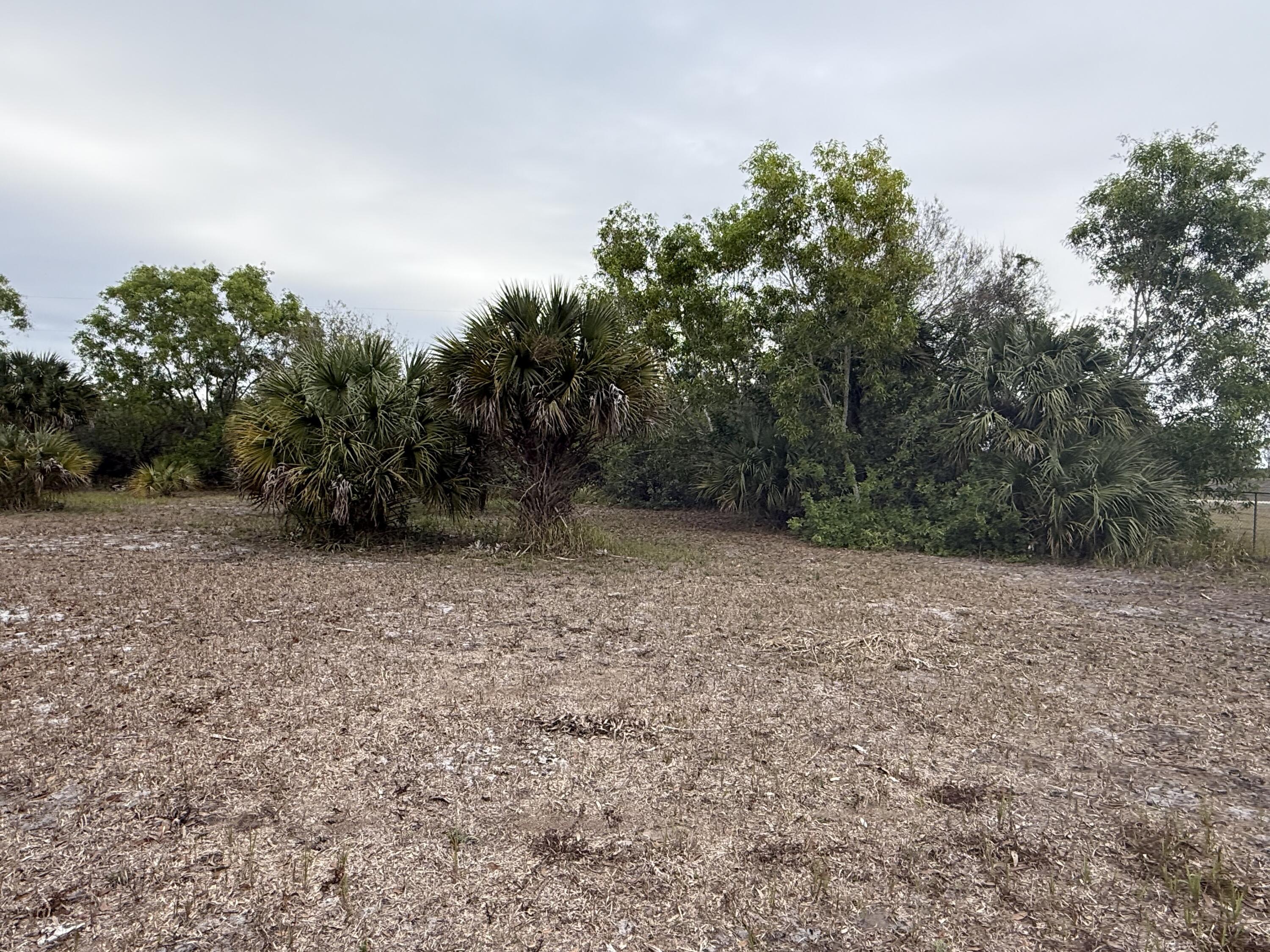 754 Hunting Club Avenue, Clewiston, FL 33440, Clewiston - Photo 4