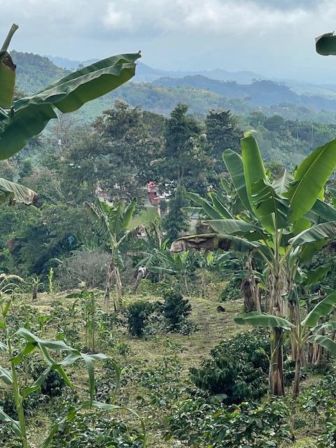 Colombia El Hatillo, Mariquita, Tol, Co, null