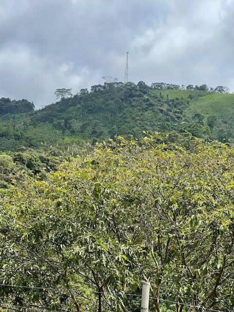 Colombia El Hatillo, Mariquita, Tol, Co, null - Photo 2
