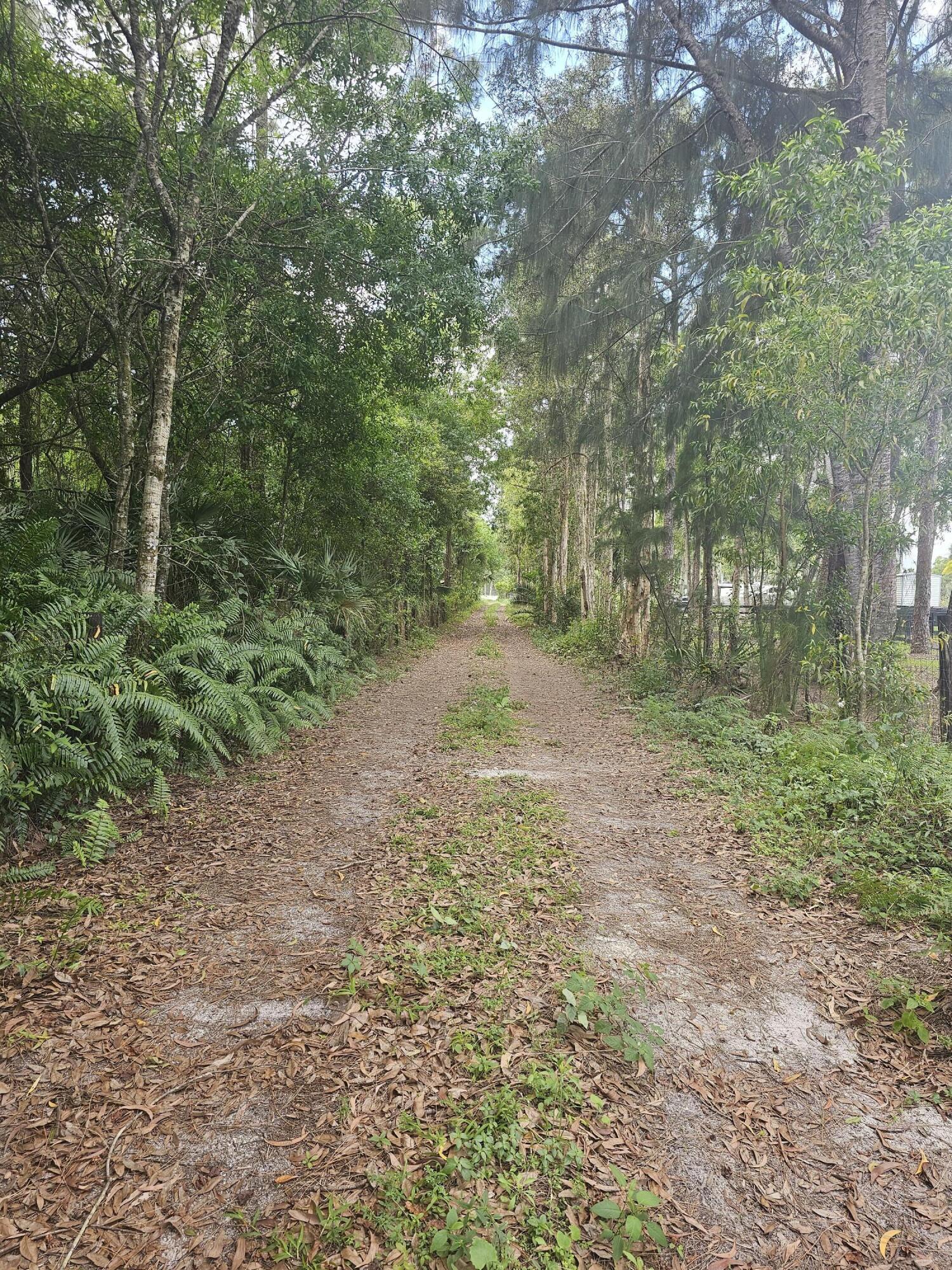 3556 B Road, Loxahatchee Groves, FL 33470, Loxahatchee Groves - Photo 3