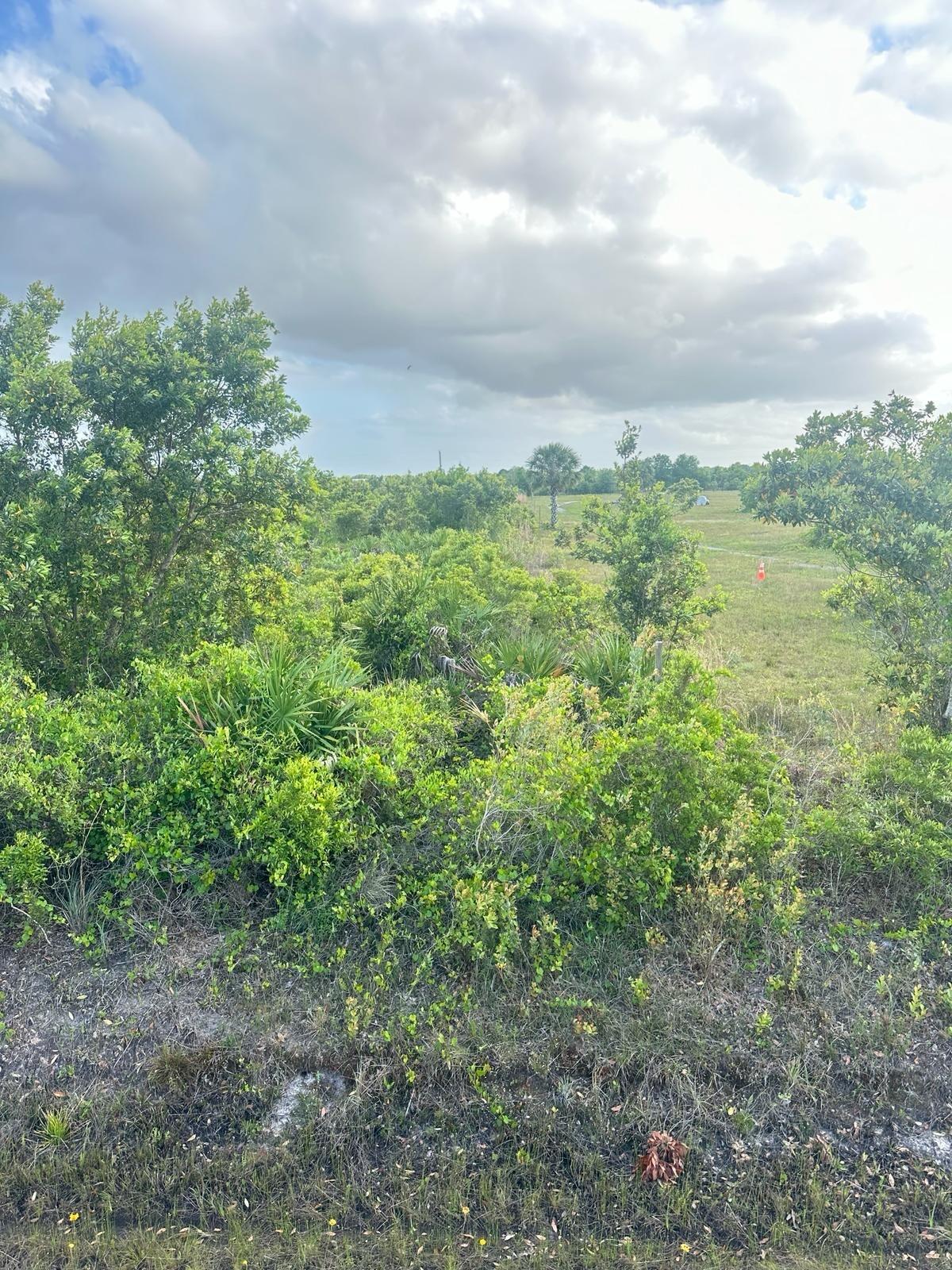 16220 NW 264th Street, Okeechobee, FL 34972, Okeechobee