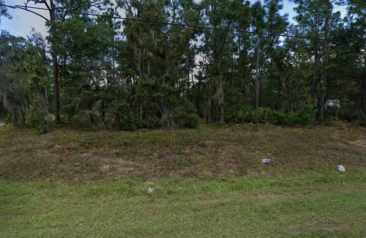 7211 Cardinal Street, Keystone Heights, FL 32656, Keystone Heights