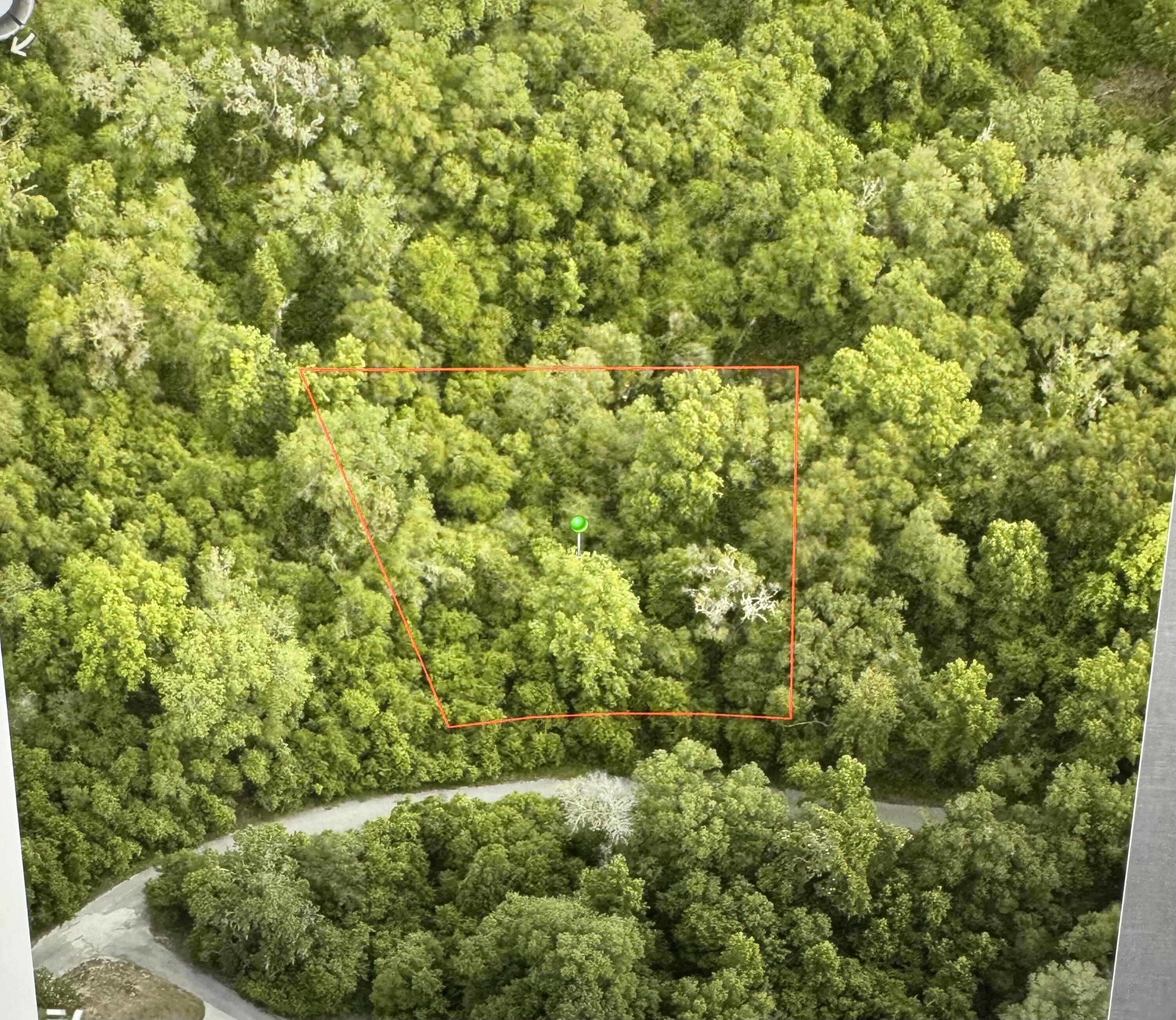 6761 E Dogwood Hammock Drive, Inverness, FL 34453, Inverness
