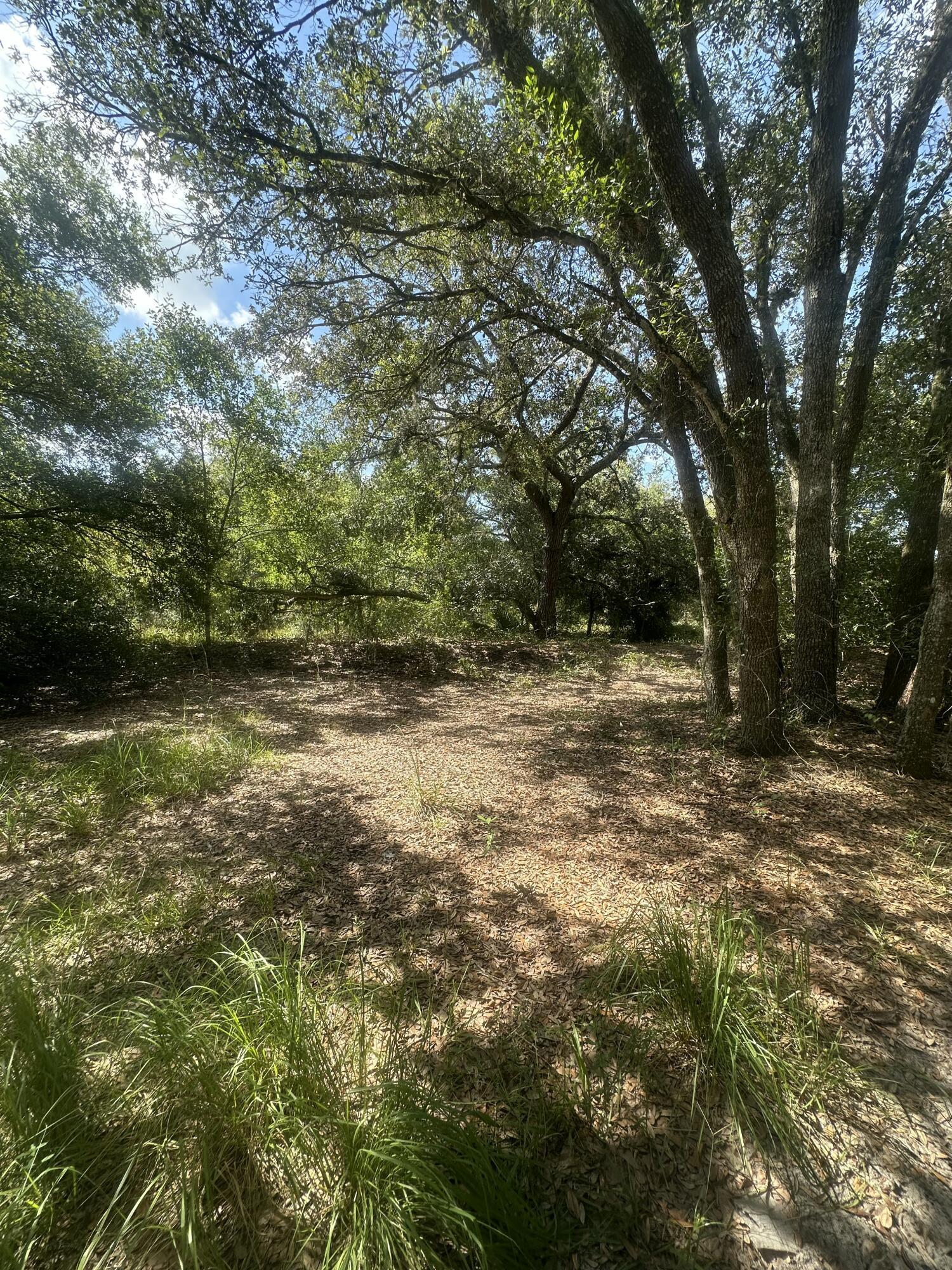 22128 NW 258th Street, Okeechobee, FL 34972, Okeechobee - Photo 2