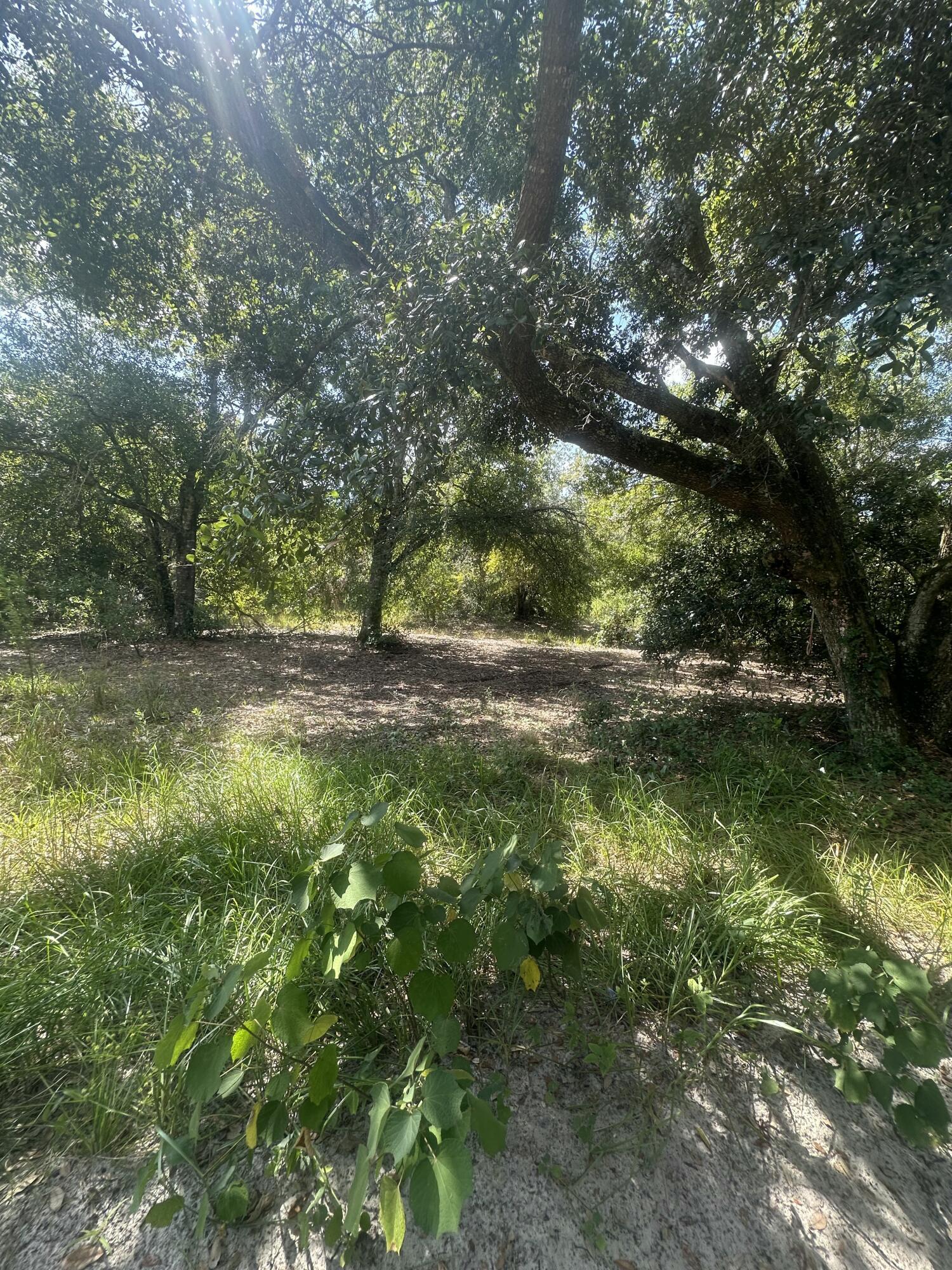 22128 NW 258th Street, Okeechobee, FL 34972, Okeechobee - Photo 4
