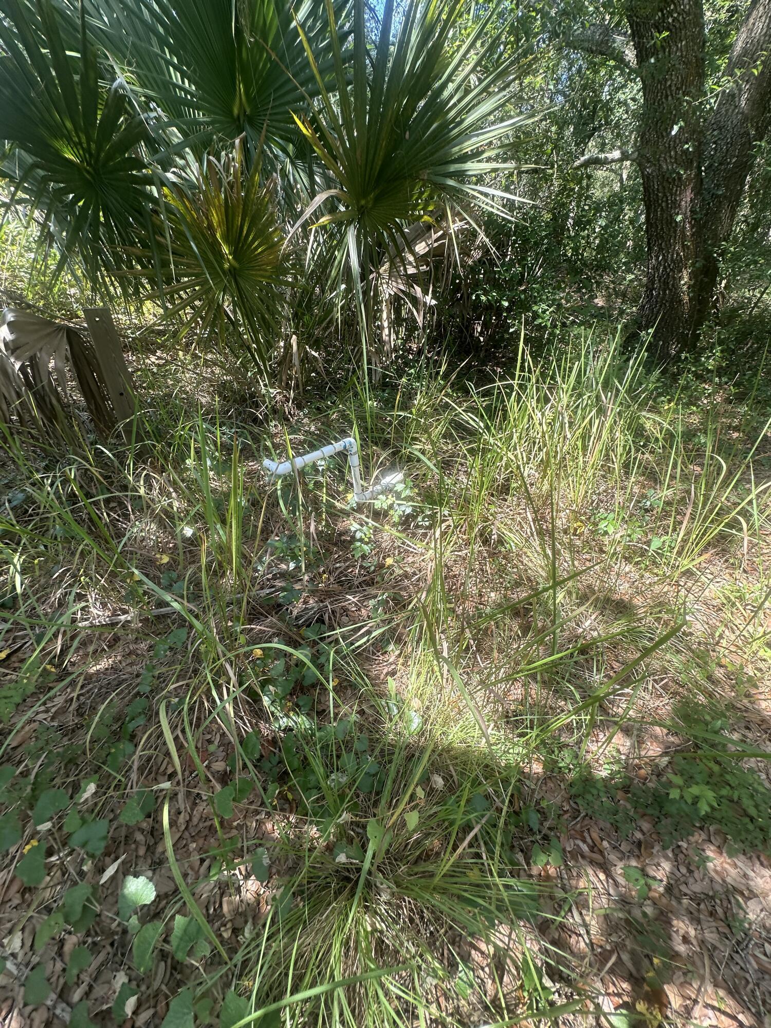 22128 NW 258th Street, Okeechobee, FL 34972, Okeechobee - Photo 5