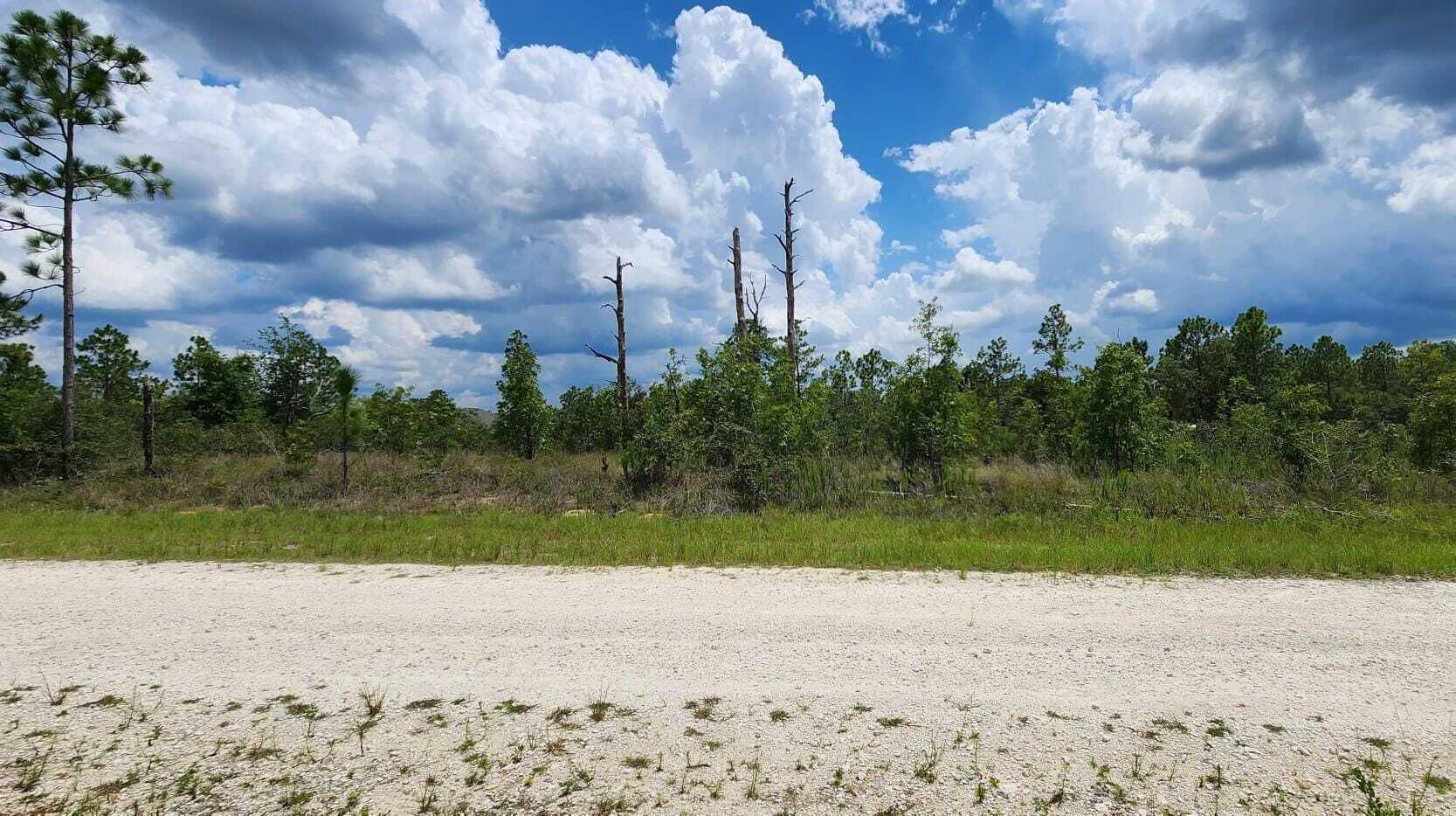 - Scissorbill Avenue, Brooksville, FL 34614, Brooksville