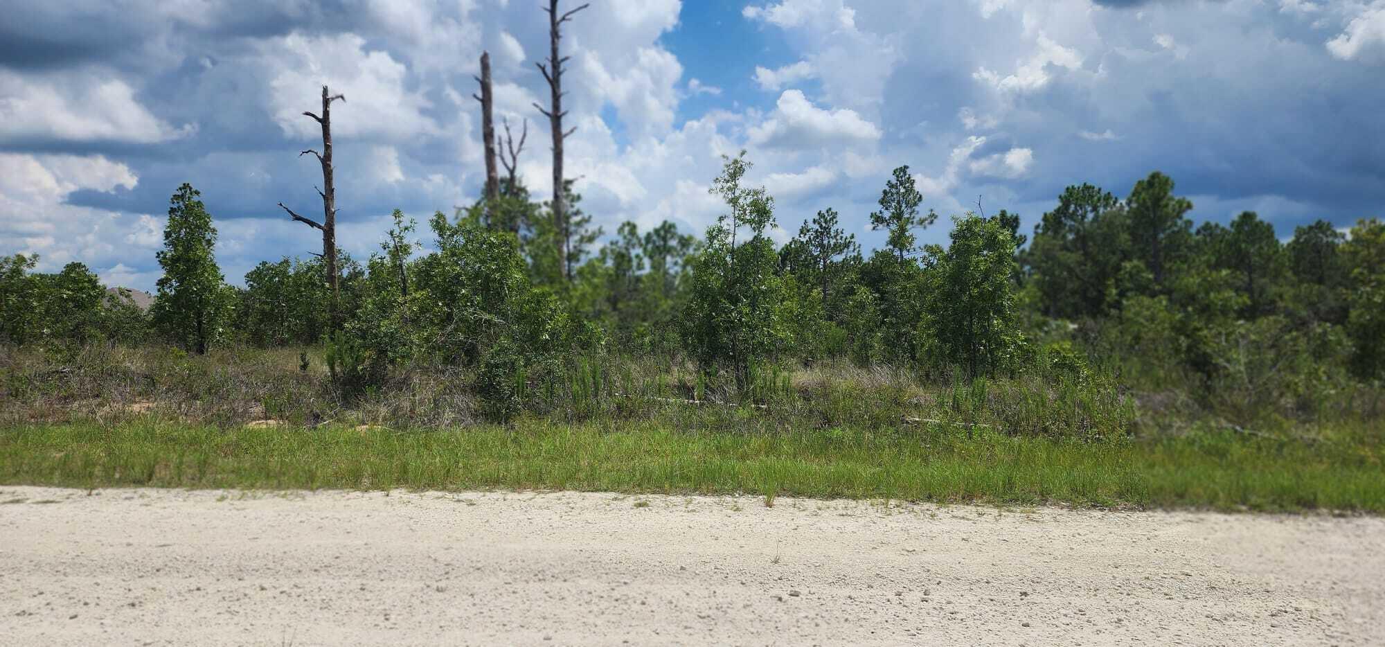 - Scissorbill Avenue, Brooksville, FL 34614, Brooksville - Photo 2