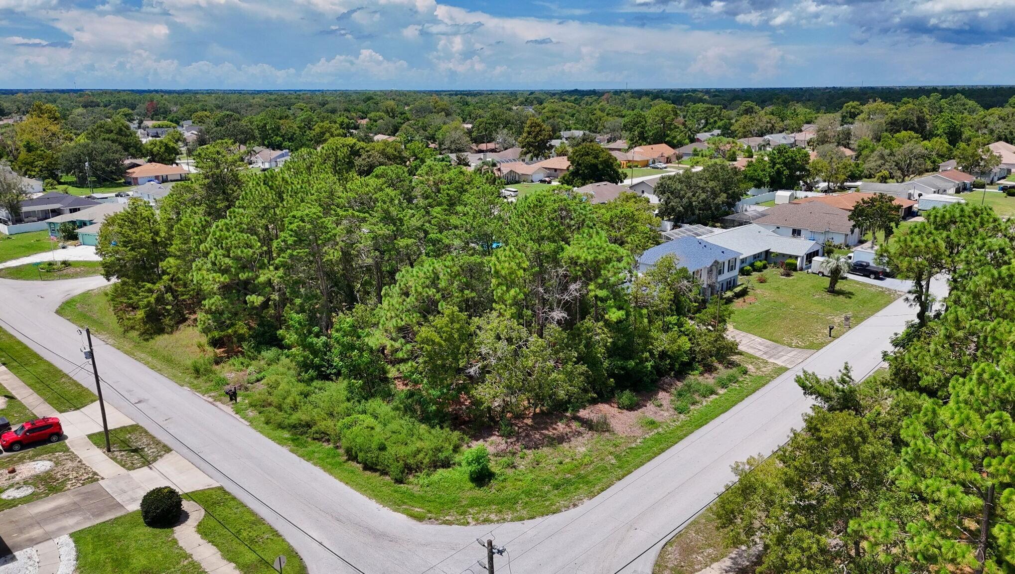 1103 S Timbercrest Road, Spring Hill, FL 34608, Spring Hill - Photo 4