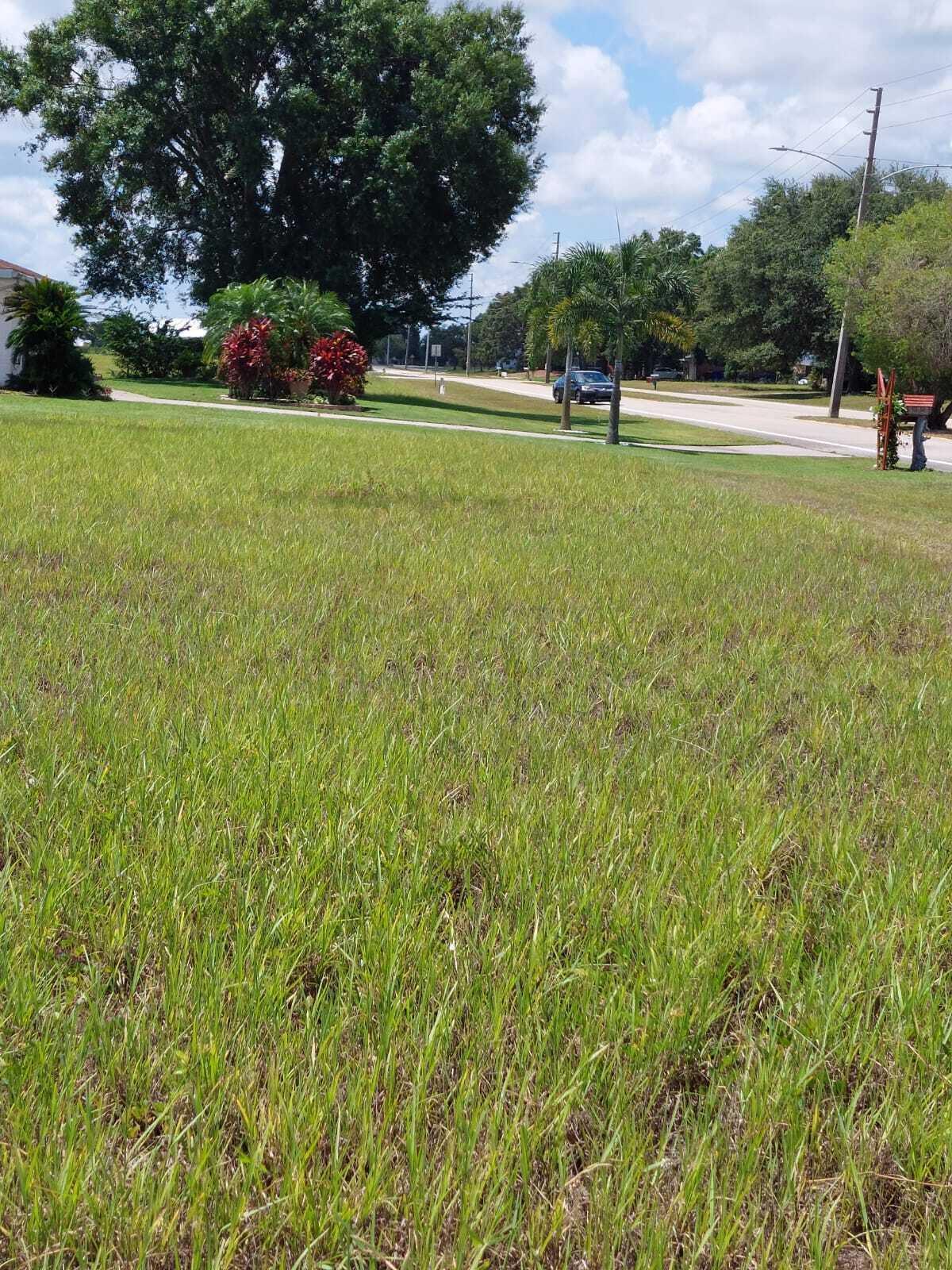 7924 Castile Road, Sebring, FL 33876, Sebring - Photo 3
