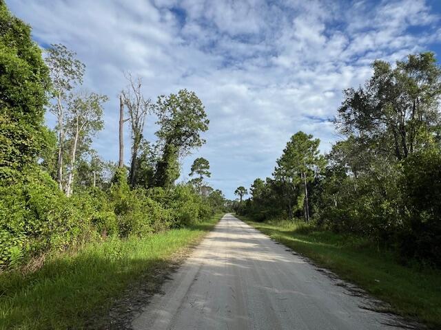 1131 Greenfield Street, Lake Placid, FL 33852, Lake Placid - Photo 4