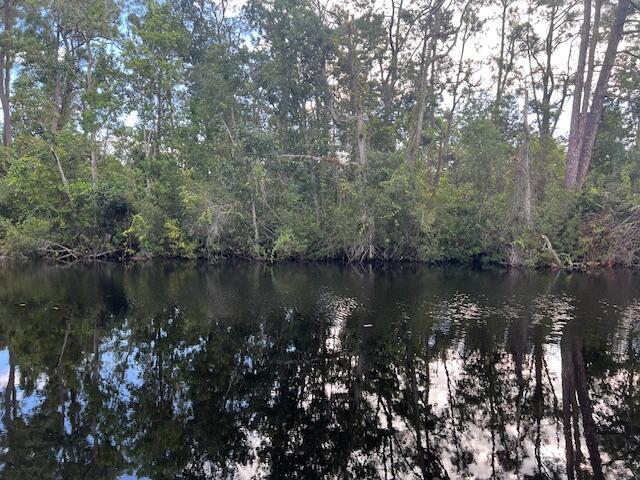 1131 Greenfield Street, Lake Placid, FL 33852, Lake Placid - Photo 2