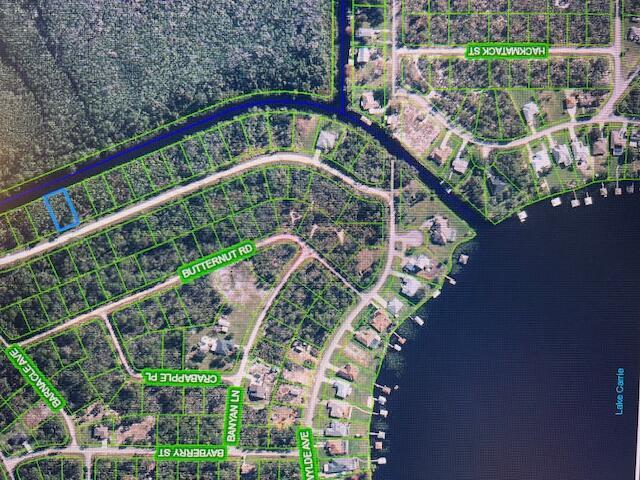 1131 Greenfield Street, Lake Placid, FL 33852, Lake Placid - Photo 3