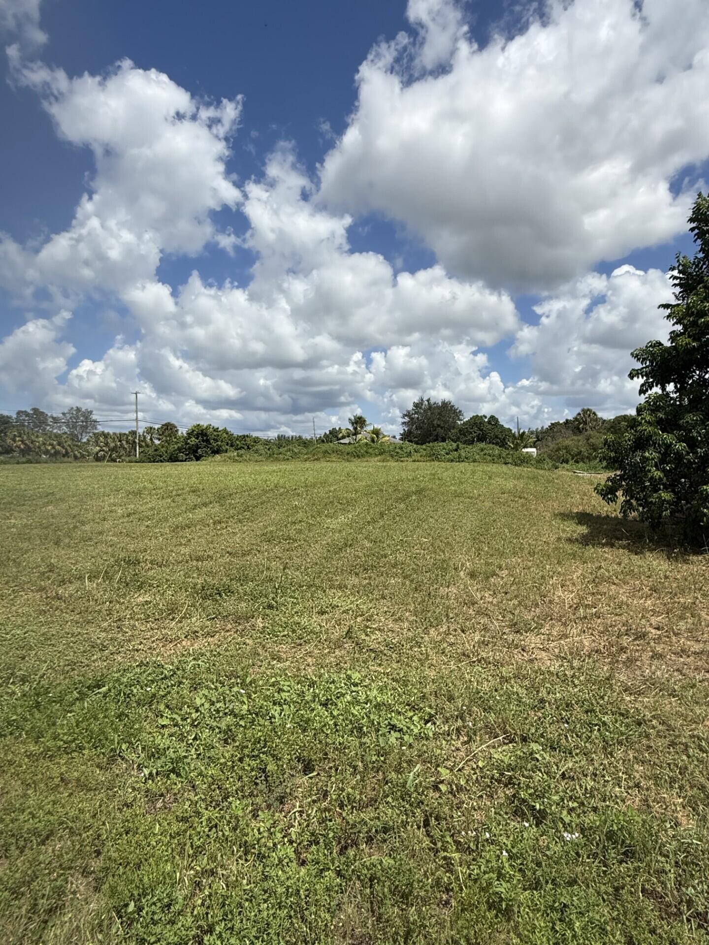 0 0 Mandarin Boulevard, The Acreage, FL 33470, The Acreage - Photo 2