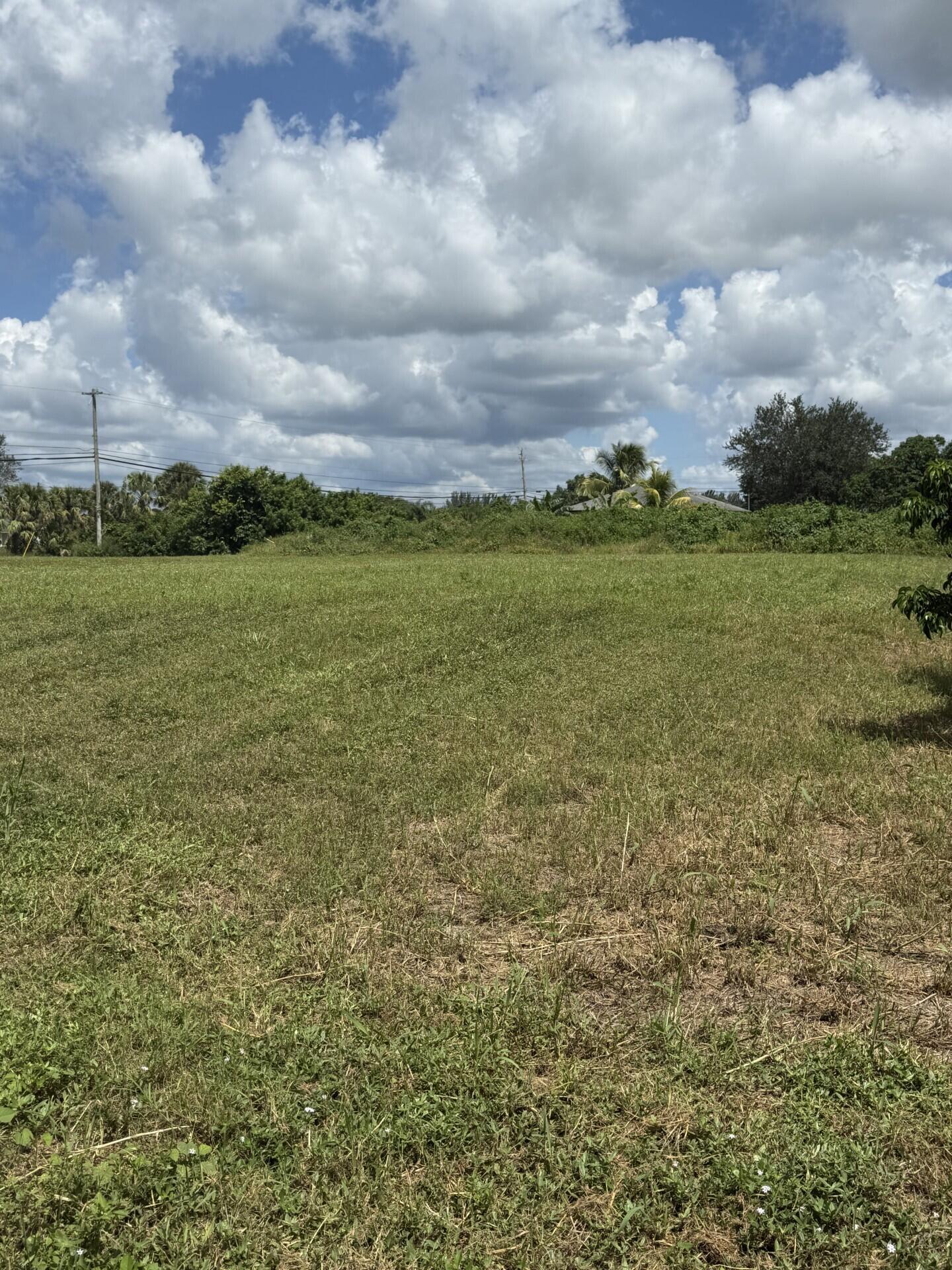 0 0 Mandarin Boulevard, The Acreage, FL 33470, The Acreage - Photo 3