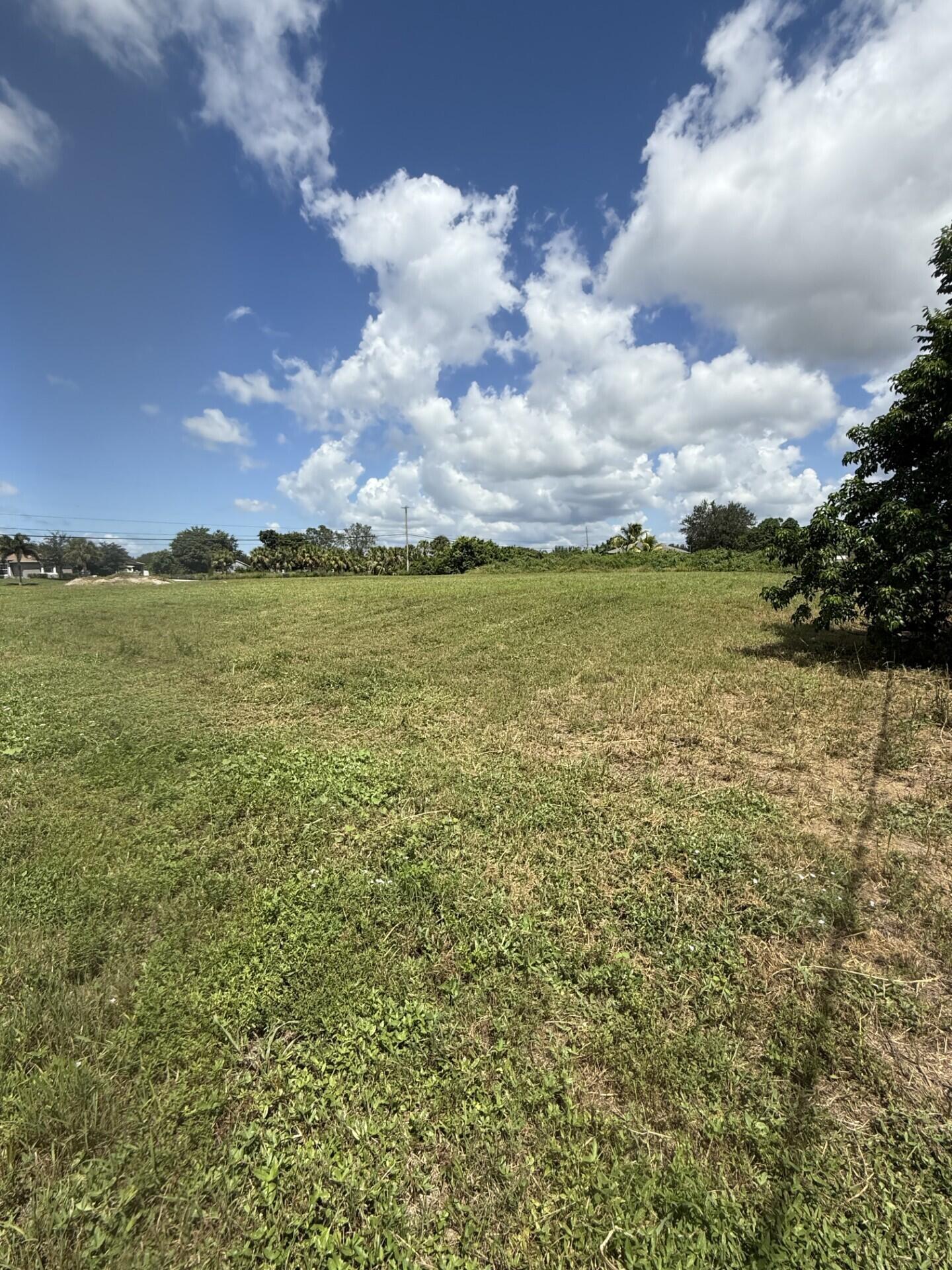 0 0 Mandarin Boulevard, The Acreage, FL 33470, The Acreage - Photo 4