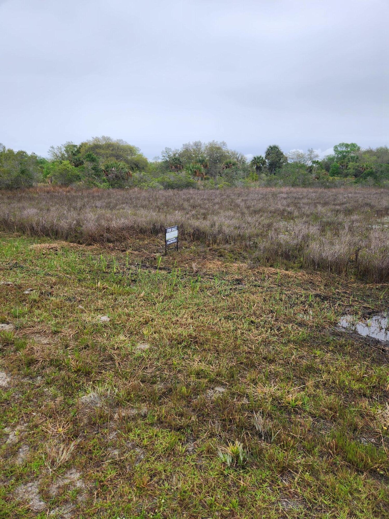 15679 NW 296th Street, Okeechobee, FL 34972, Okeechobee