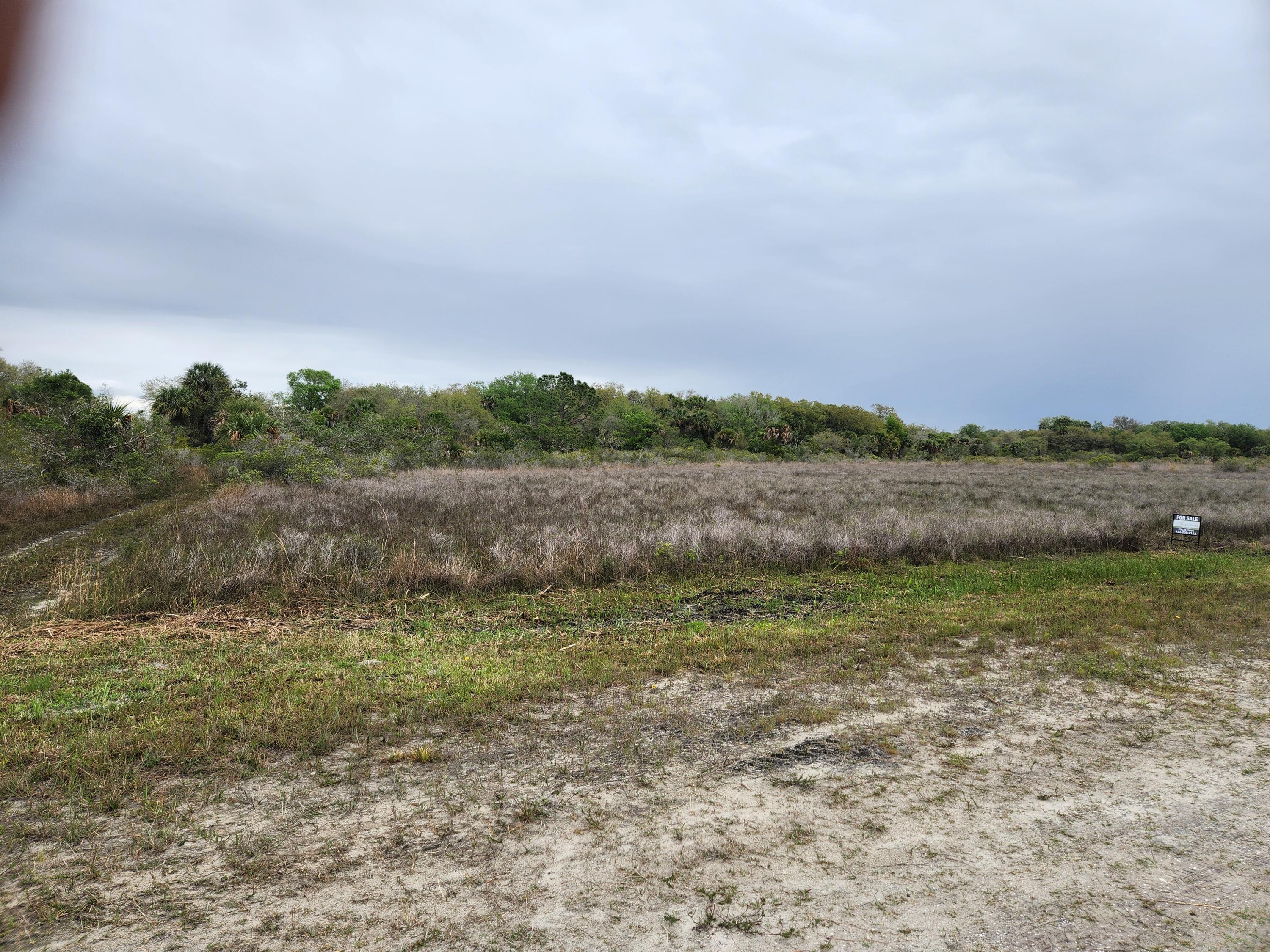 15679 NW 296th Street, Okeechobee, FL 34972, Okeechobee - Photo 4