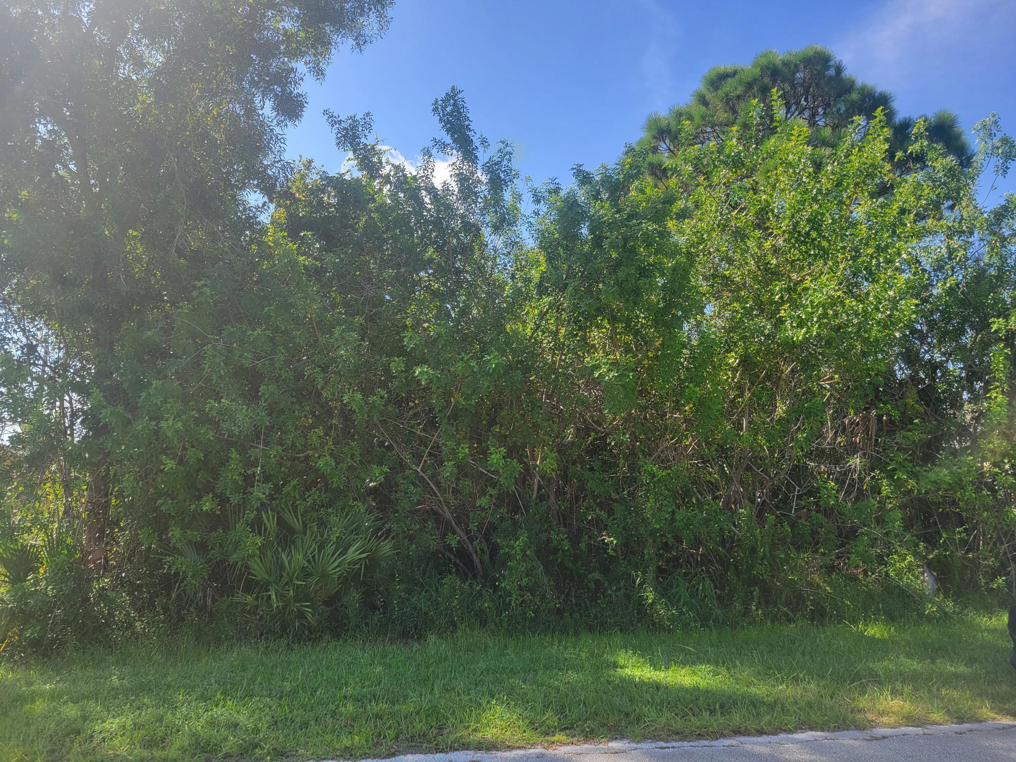 474 SW Kaabe Avenue, Port St. Lucie, FL 34953, Port St. Lucie - Photo 3