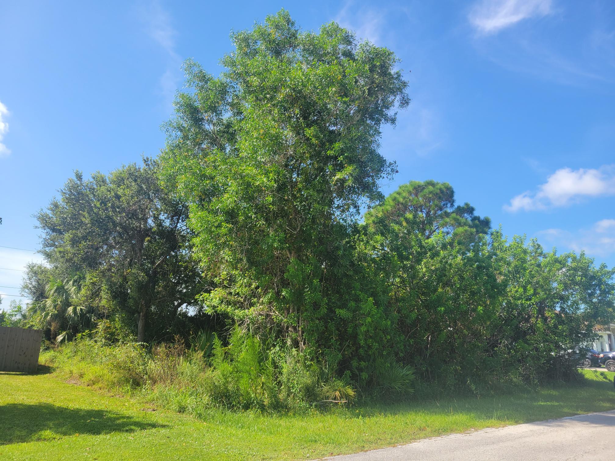 474 SW Kaabe Avenue, Port St. Lucie, FL 34953, Port St. Lucie