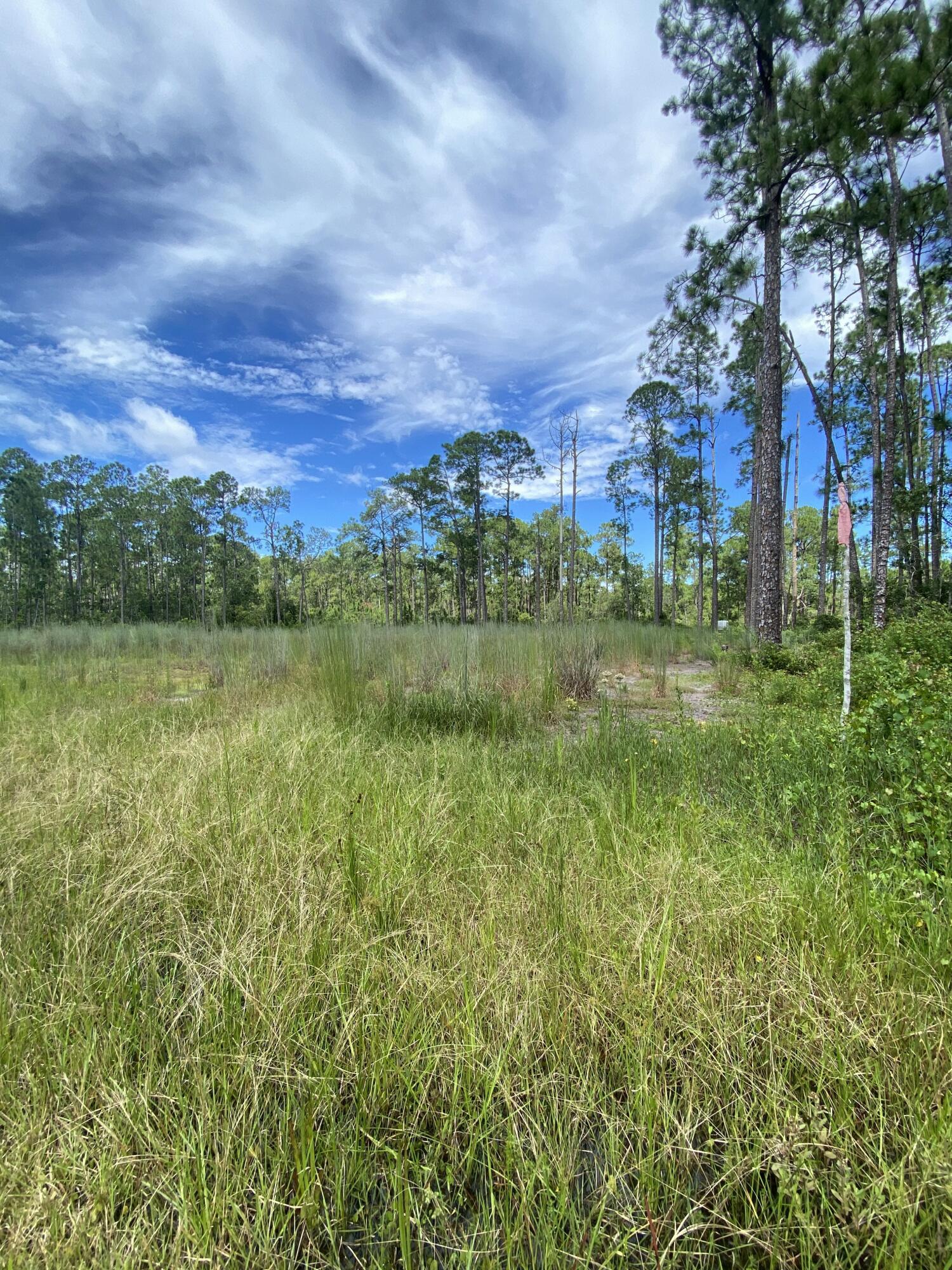 418 Gaillardia Drive, Lake Wales, FL 33855, Lake Wales - Photo 3