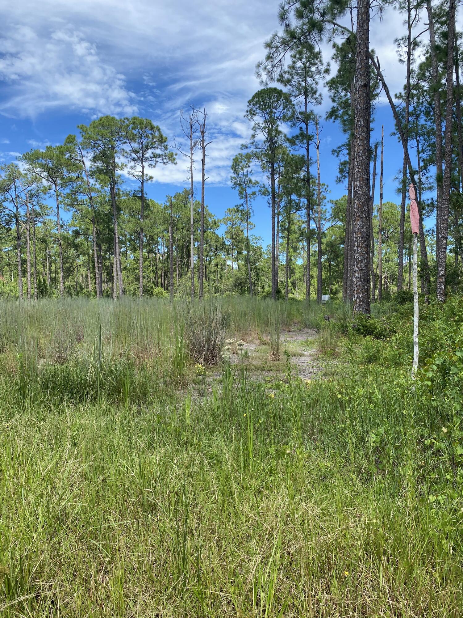 418 Gaillardia Drive, Lake Wales, FL 33855, Lake Wales - Photo 4