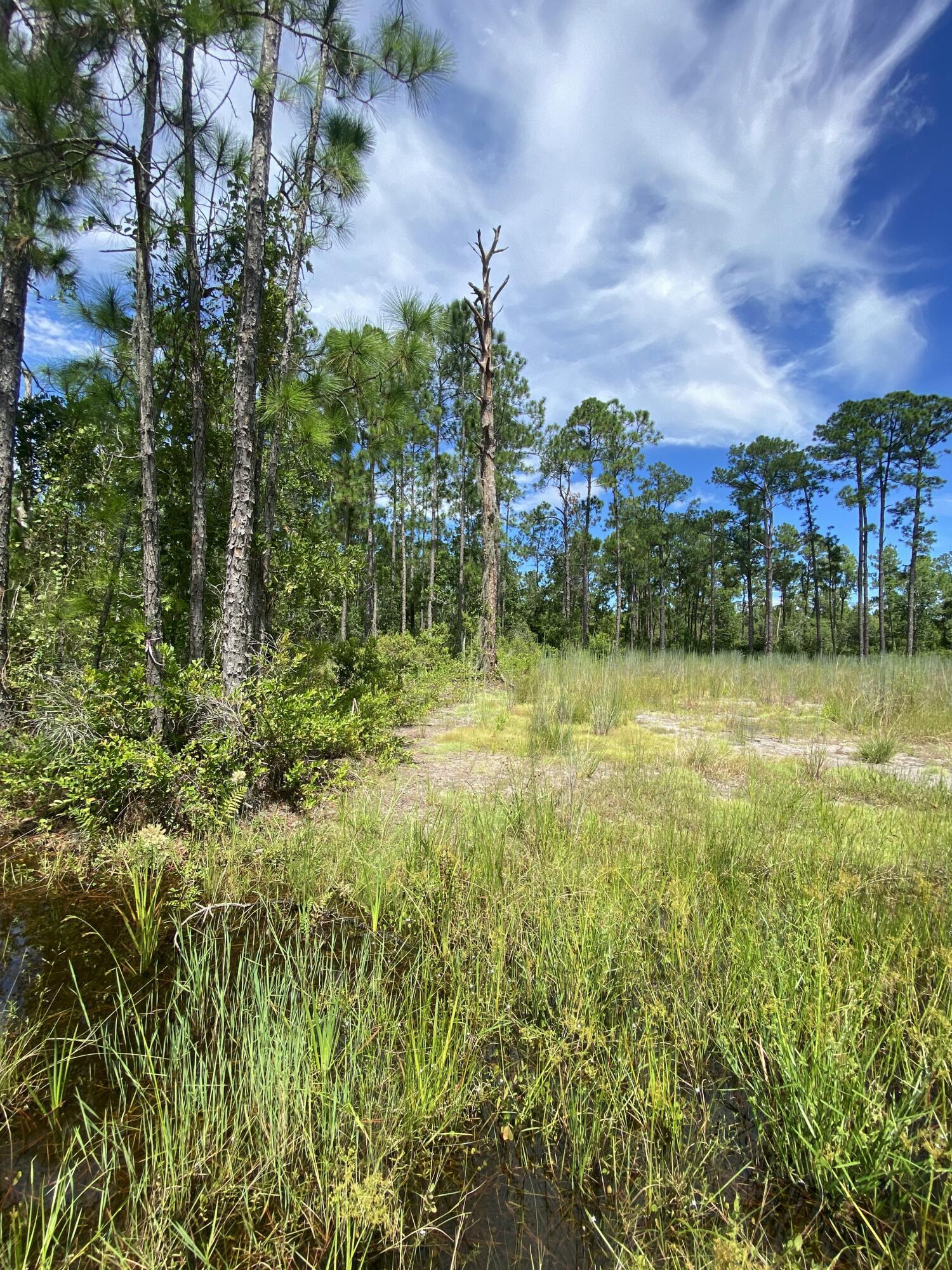 418 Gaillardia Drive, Lake Wales, FL 33855, Lake Wales - Photo 5