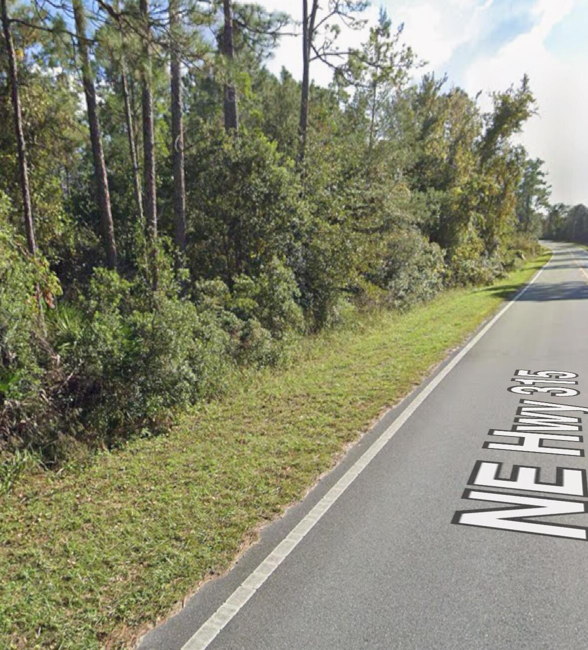 0 NE 315 Hwy, Fort McCoy, FL 32134, Fort McCoy - Photo 2