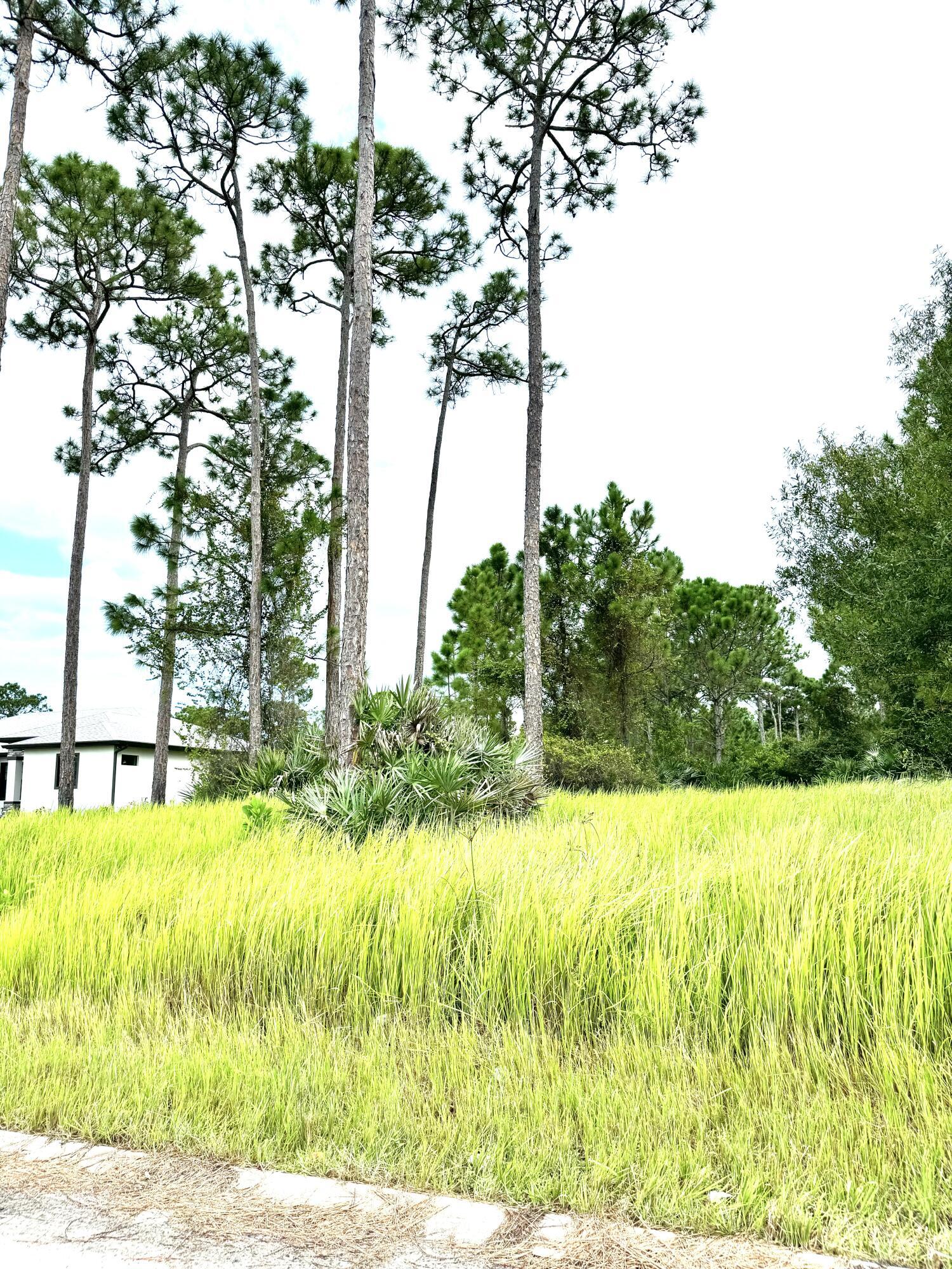 10615 Sugar Pine Drive, Fort Pierce, FL 34945, Fort Pierce - Photo 3