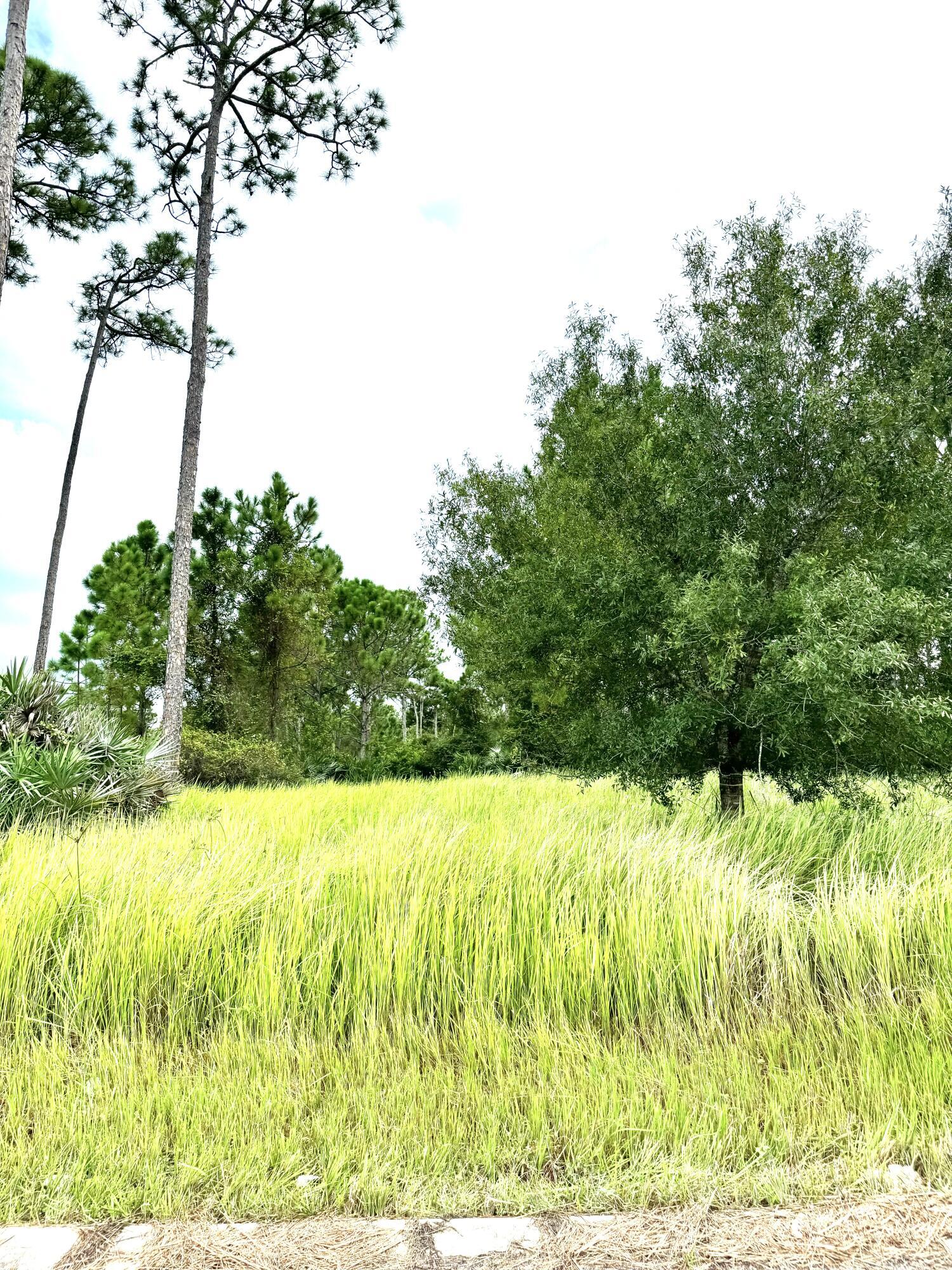 10615 Sugar Pine Drive, Fort Pierce, FL 34945, Fort Pierce - Photo 4