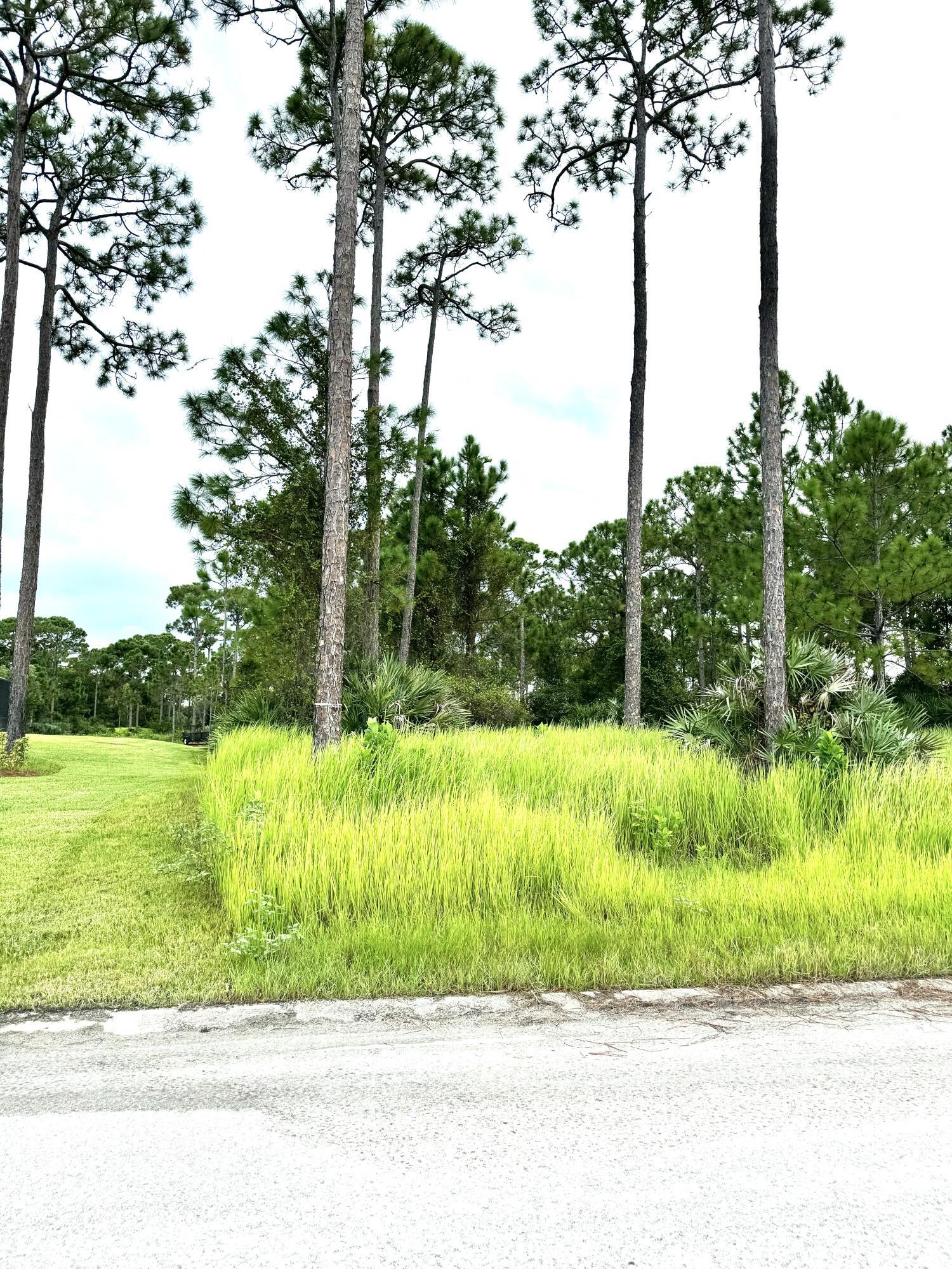 10615 Sugar Pine Drive, Fort Pierce, FL 34945, Fort Pierce - Photo 5