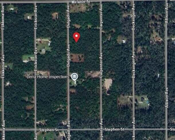 10040 Delgado Avenue, Hastings, FL 32145, Hastings