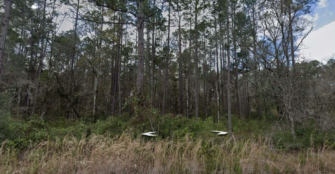 10275 Hennessey Avenue, Hastings, FL 32145, Hastings - Photo 3