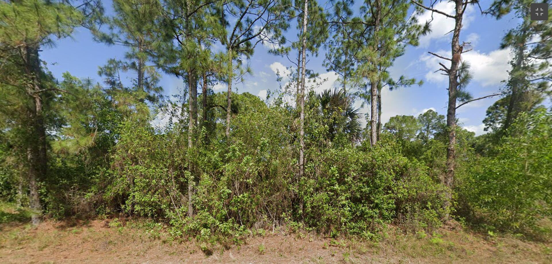 519 Genesee Avenue S, Lehigh Acres, FL 33974, Lehigh Acres - Photo 3