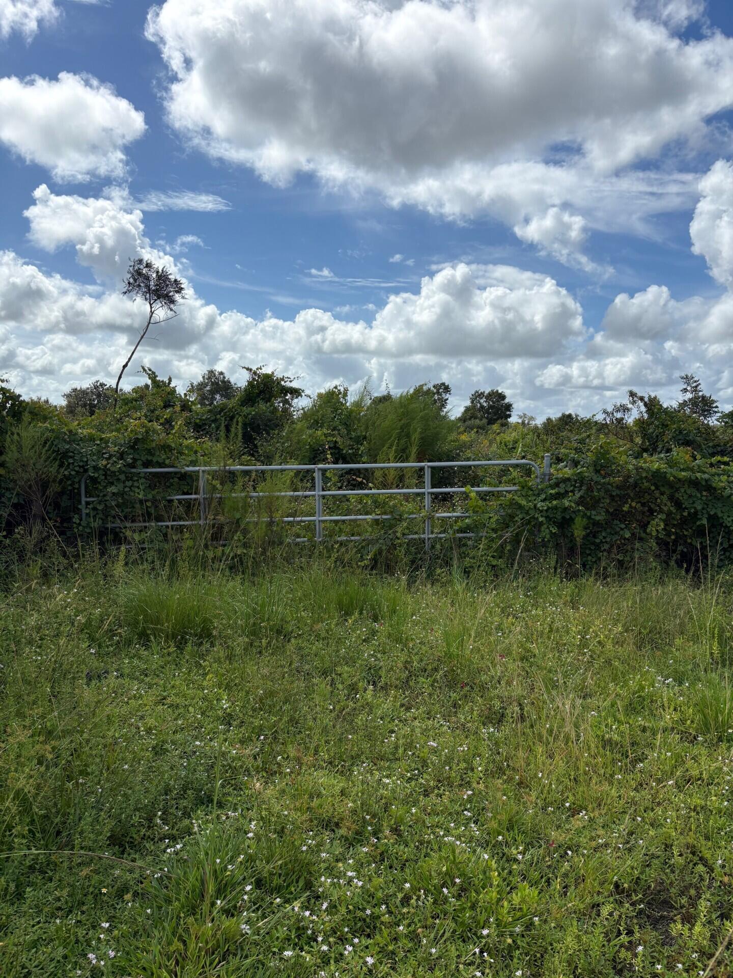 16426 NW 262nd Street, Okeechobee, FL 34972, Okeechobee - Photo 2