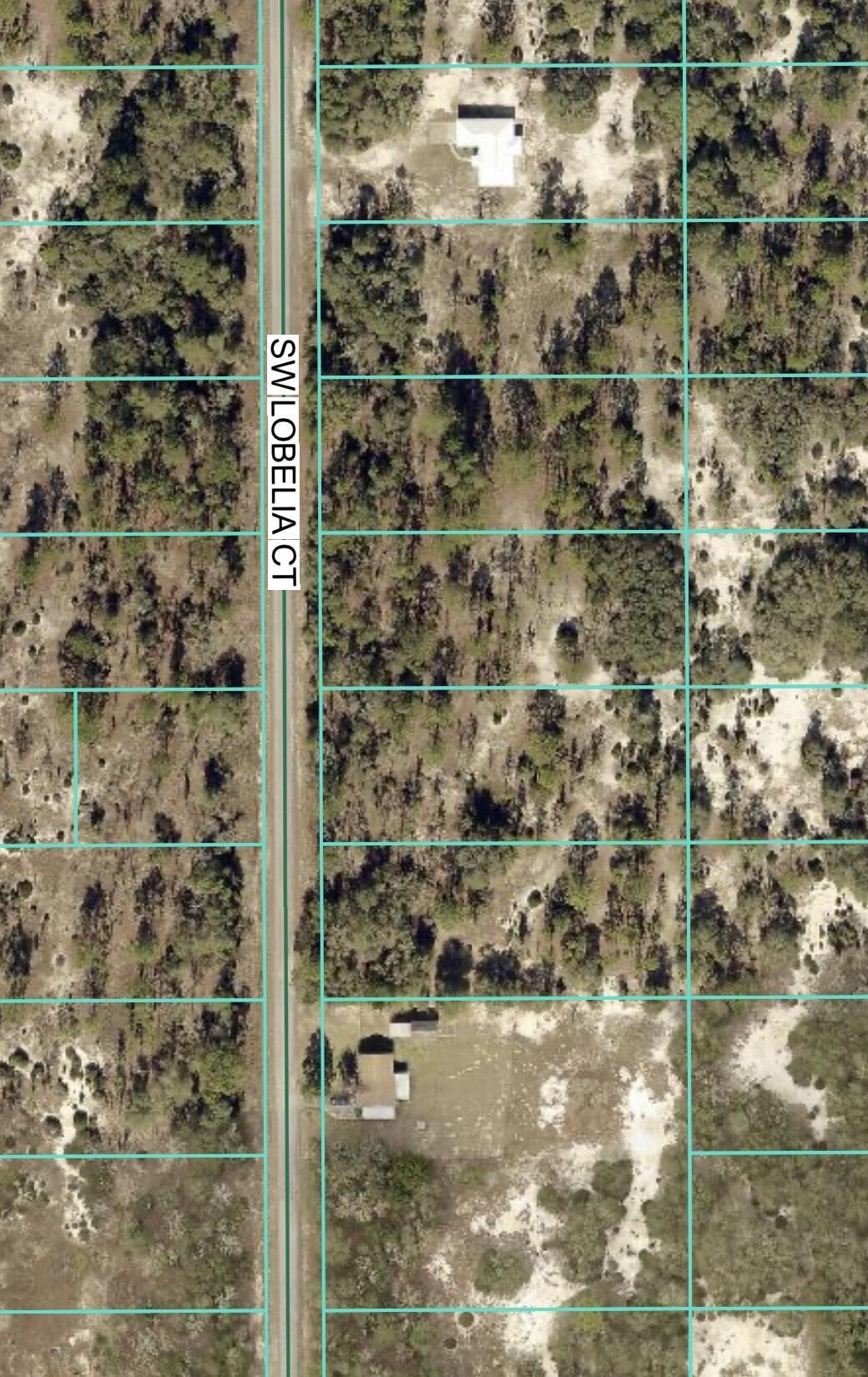 Tbd Lot 32 SW Lobelia Court, Dunnellon, FL 34431, Dunnellon - Photo 2