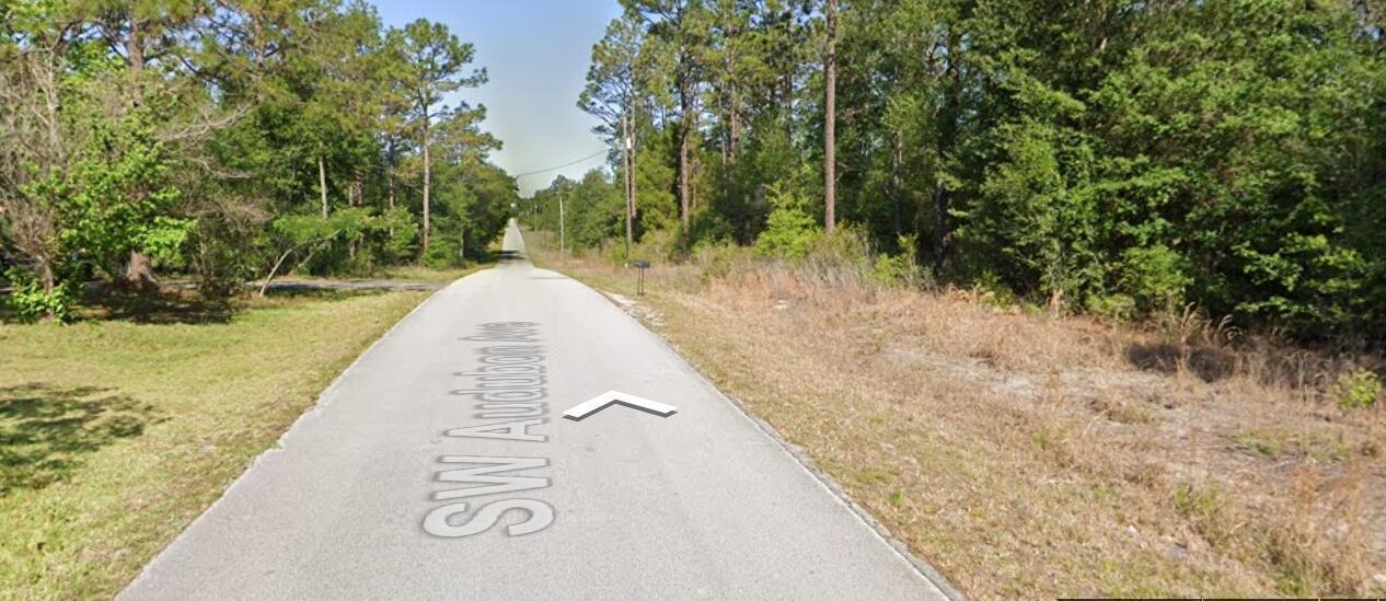 20313 SW Audubon Avenue, Dunnellon, FL 34431, Dunnellon - Photo 2