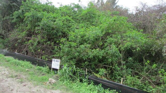 16750 SW Conners Highway, Okeechobee, FL 34974, Okeechobee