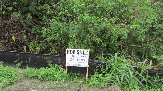 16750 SW Conners Highway, Okeechobee, FL 34974, Okeechobee - Photo 2
