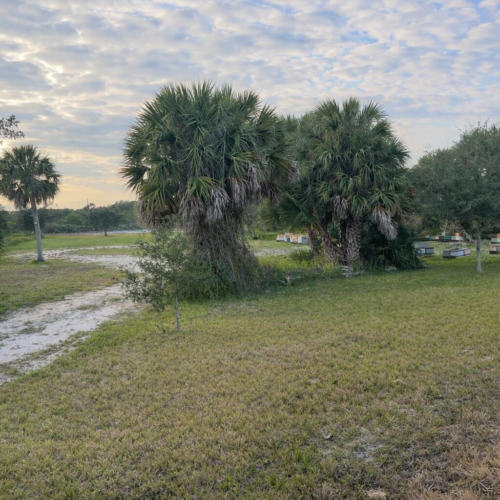 6440 Highway 1, Grant Valkaria, FL 32949, Grant Valkaria - Photo 2