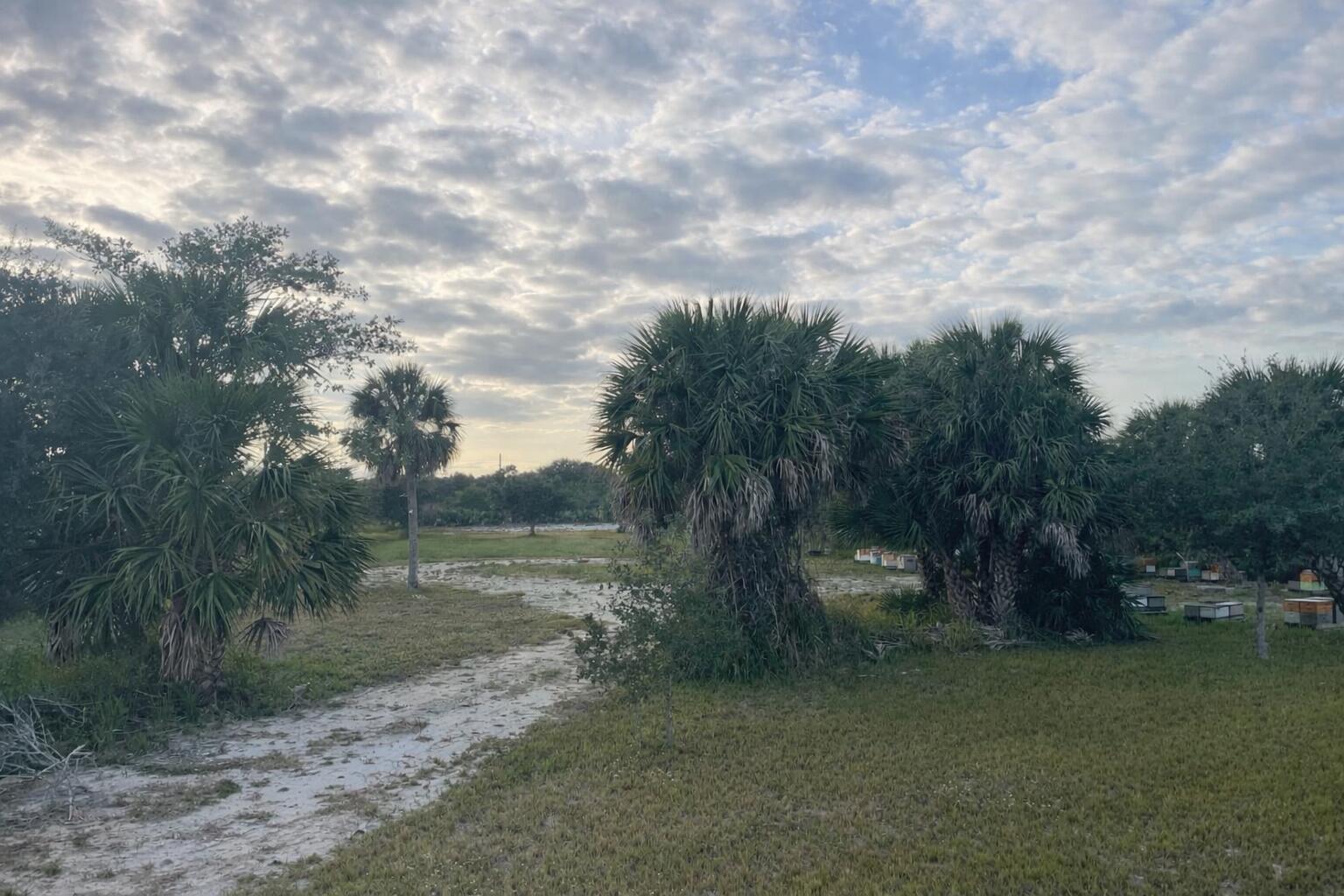 6440 Highway 1, Grant Valkaria, FL 32949, Grant Valkaria - Photo 3