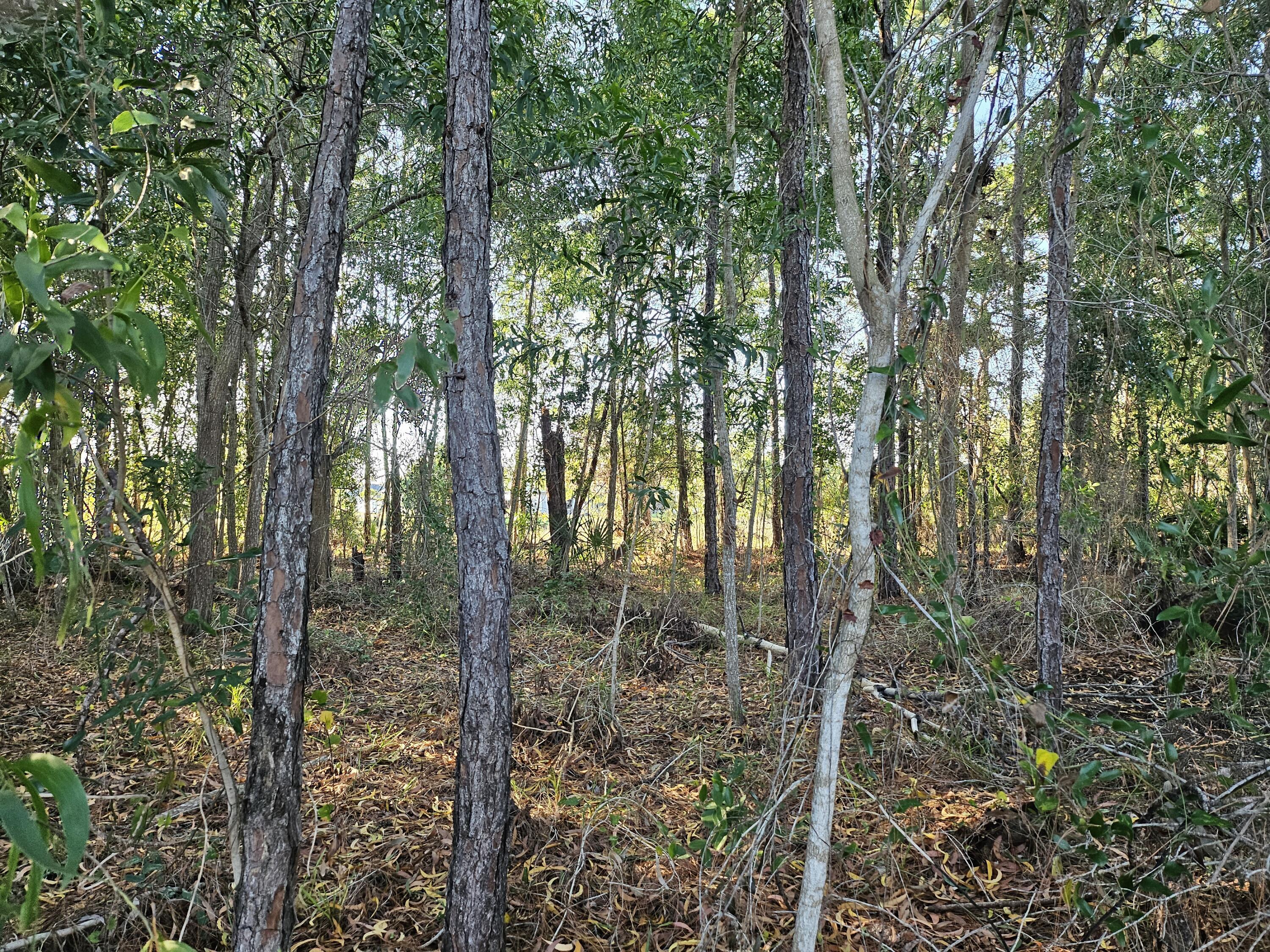 5436 NW Briscoe Drive, Port St. Lucie, FL 34986, Port St. Lucie - Photo 2