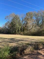 5123 Elmore Road, Marianna, FL 32446, Marianna - Photo 5